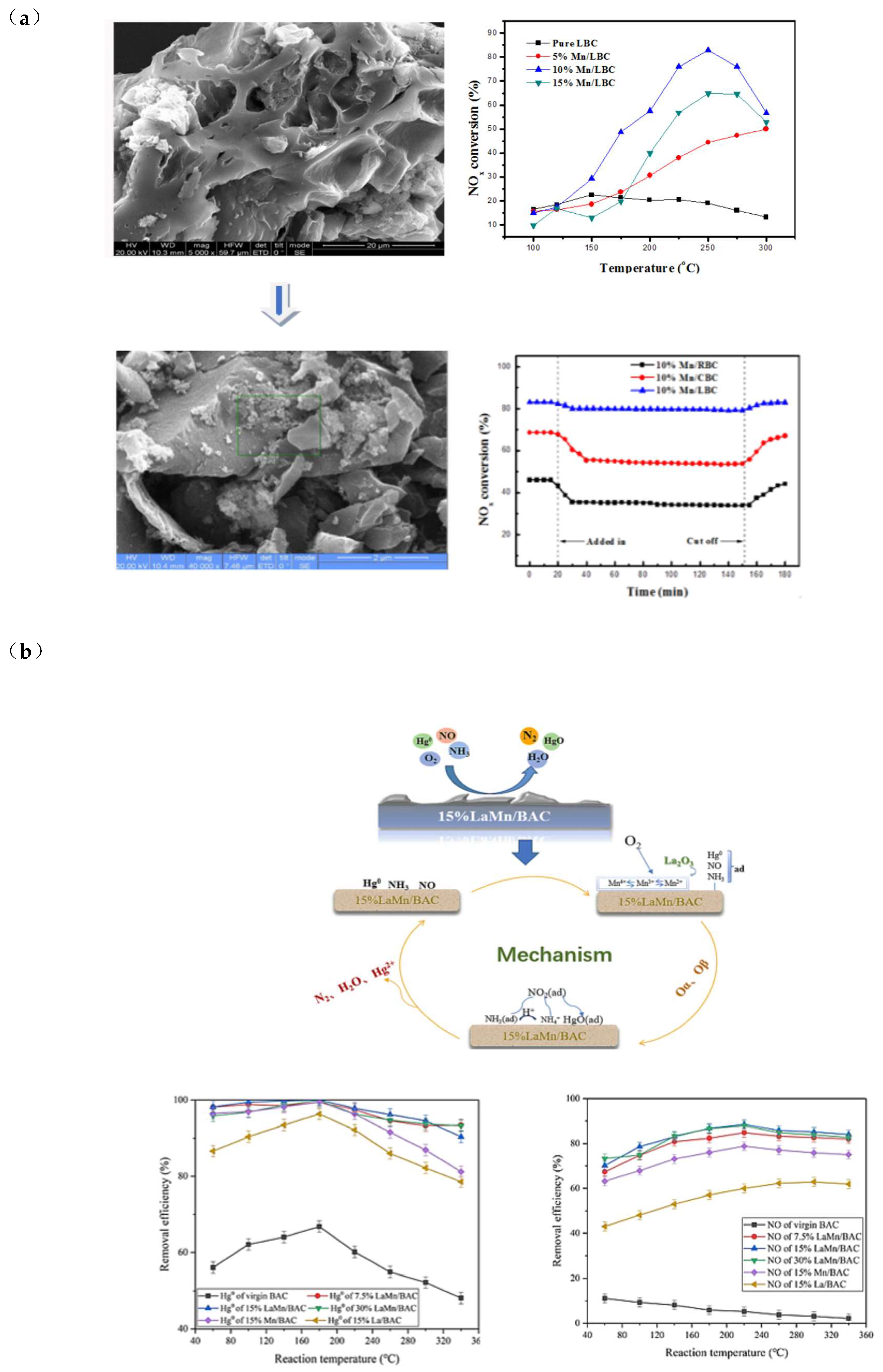 Sustainability 16 10965 g003a