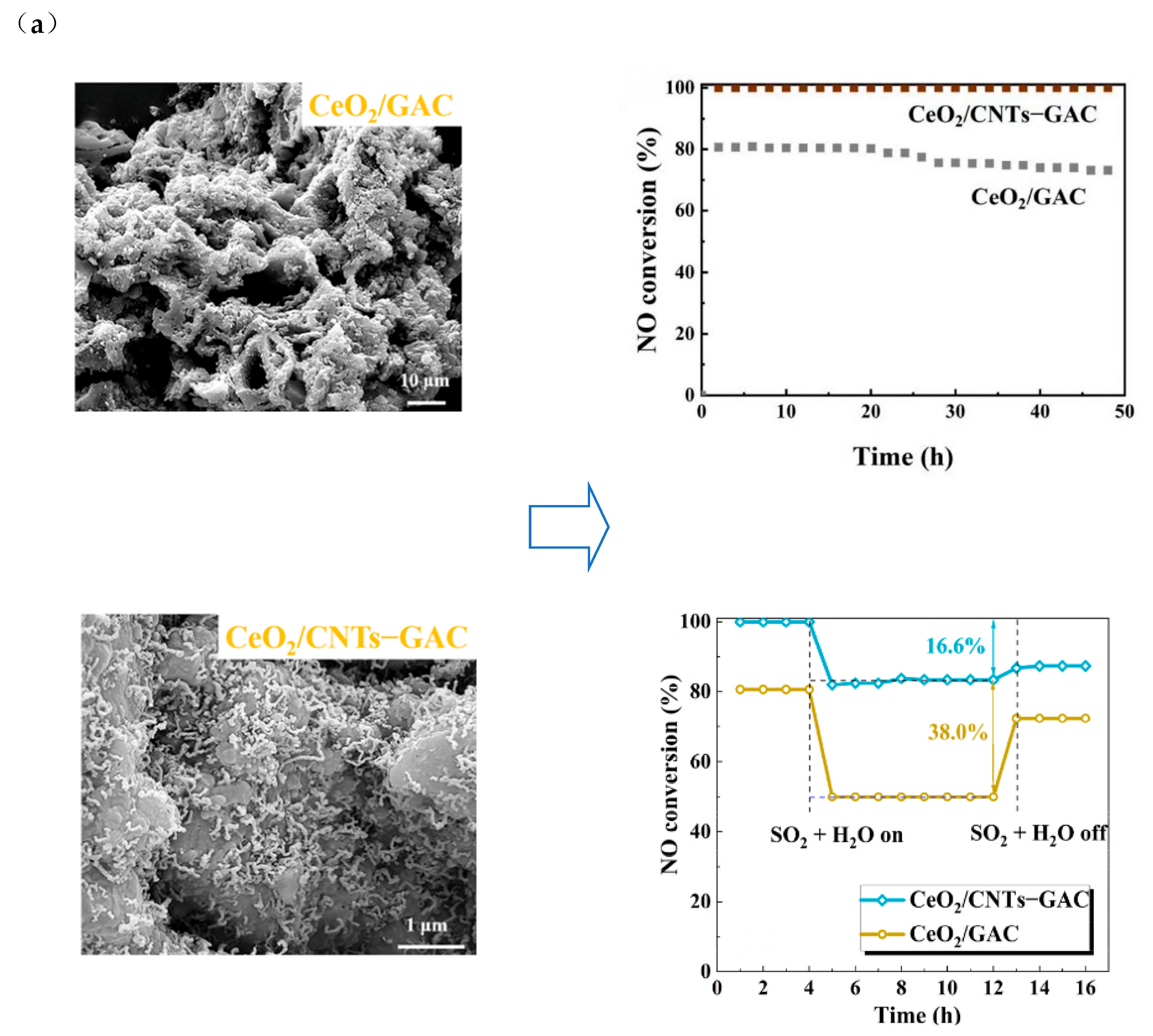 Sustainability 16 10965 g006a