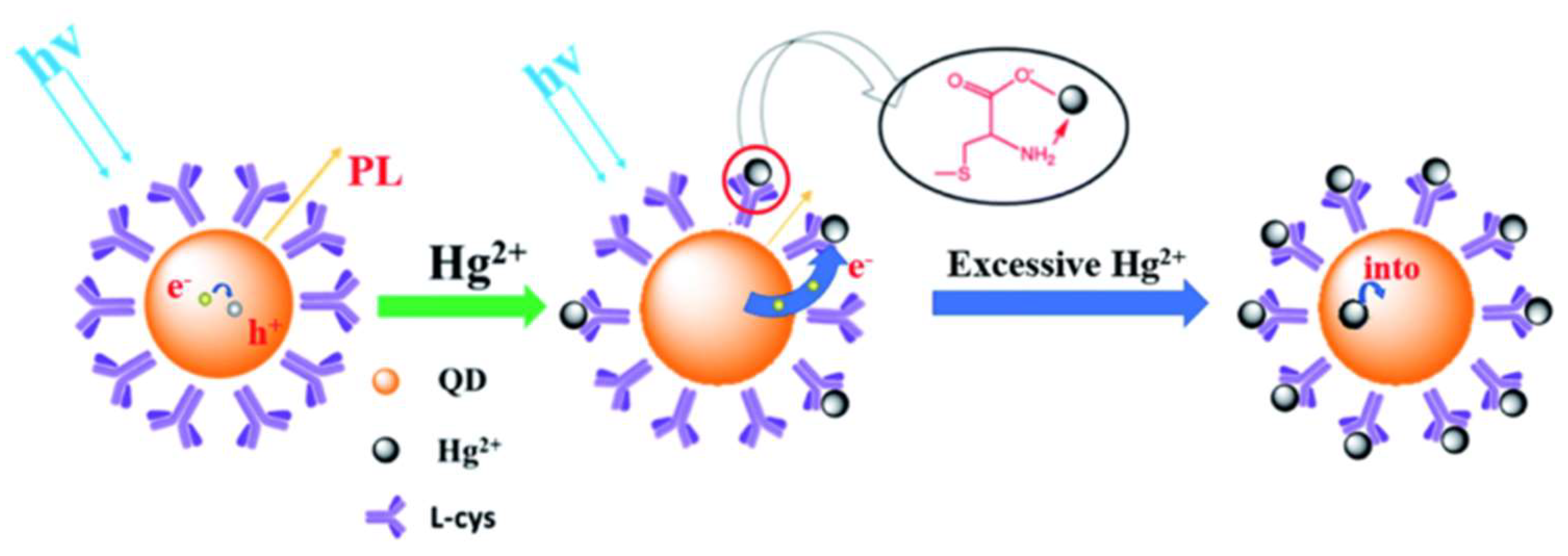 Sustainability 16 10965 g008