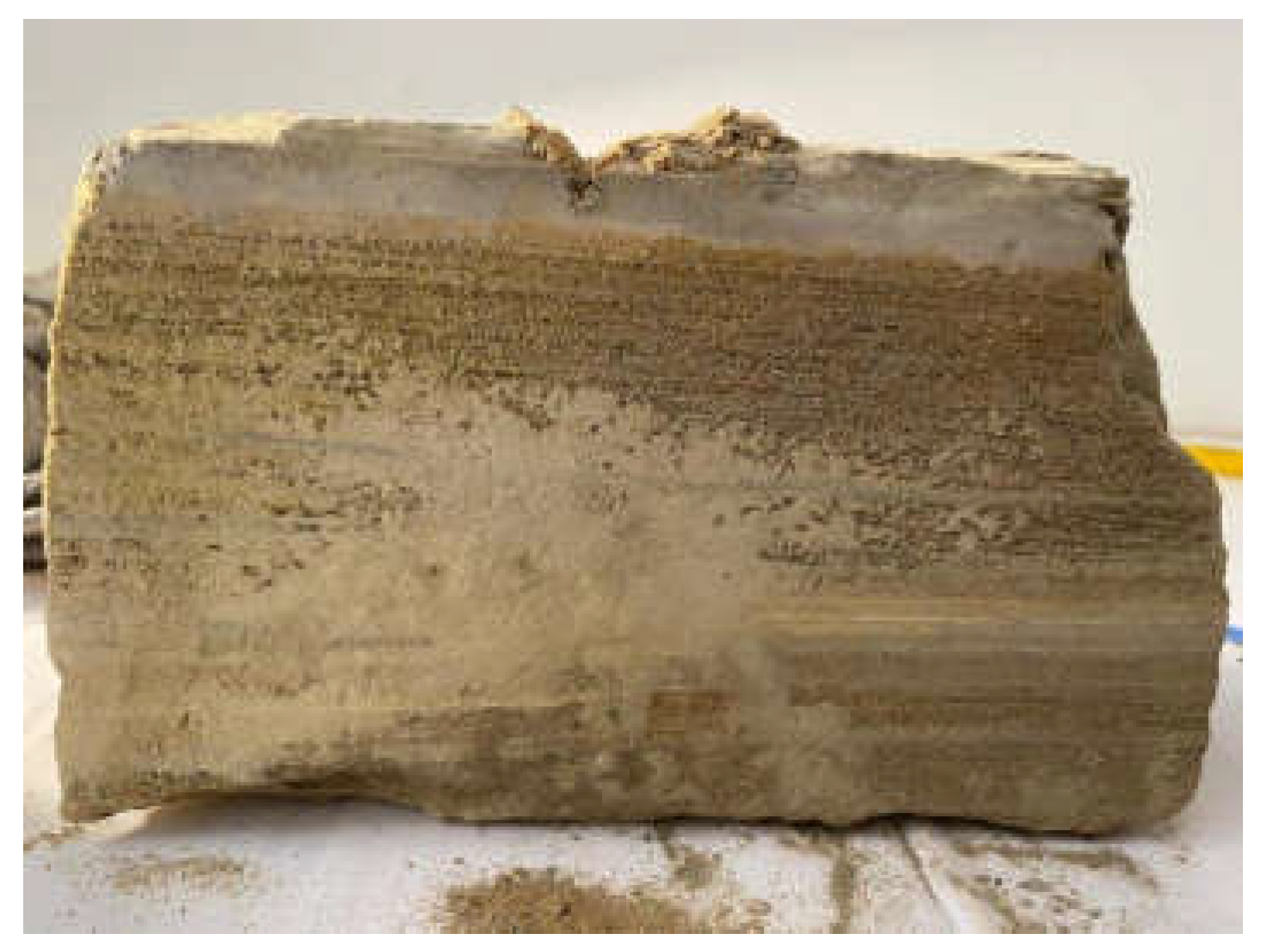 Sustainability 16 10987 g002