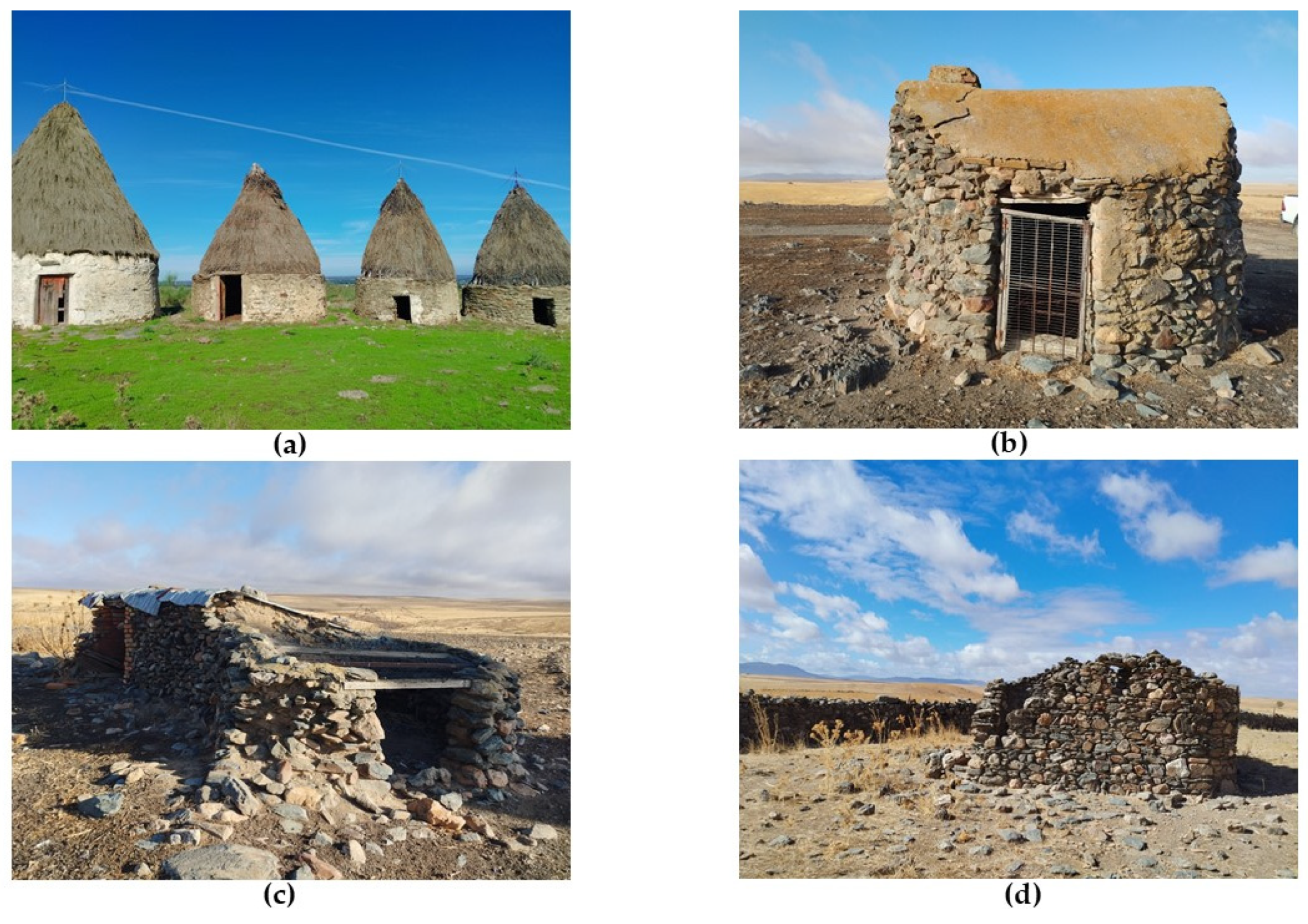 Sustainability 16 10997 g001