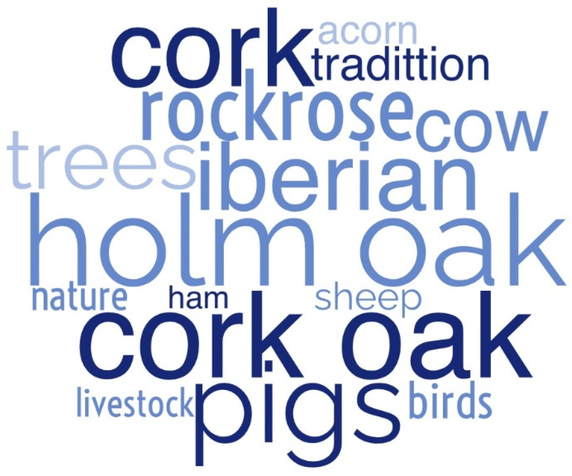 Sustainability 16 10997 g005