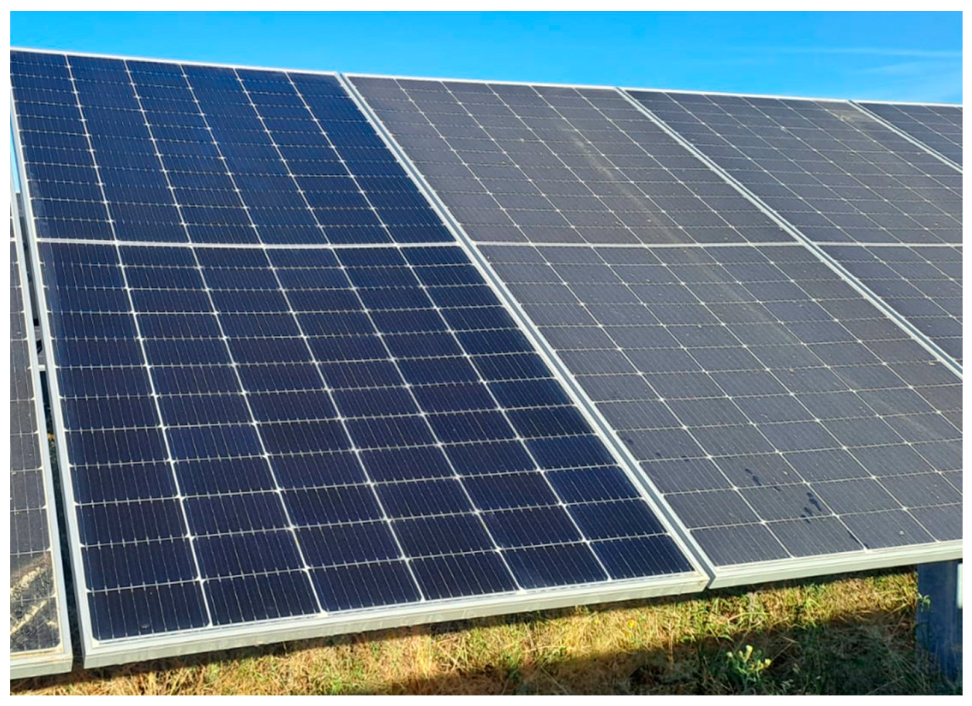 Sustainability 16 10998 g001