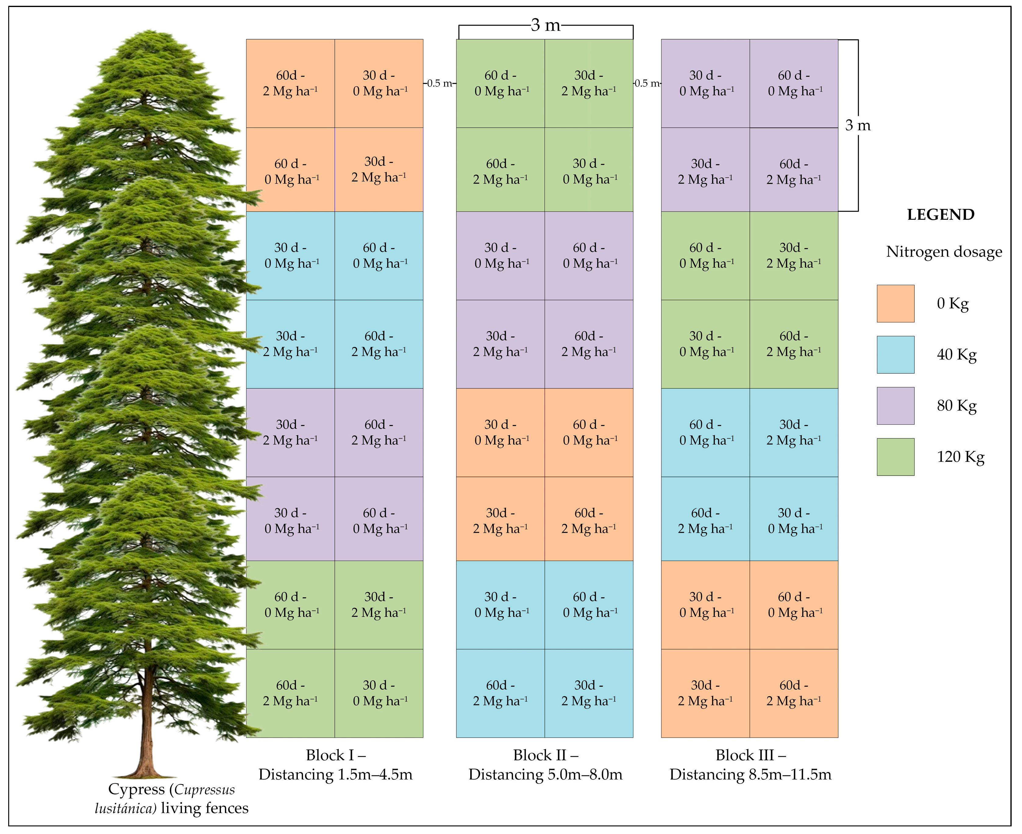 Sustainability 16 11021 g002