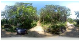 Sustainability 16 11022 i006