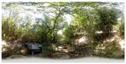 Sustainability 16 11022 i009