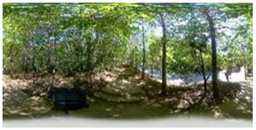 Sustainability 16 11022 i011