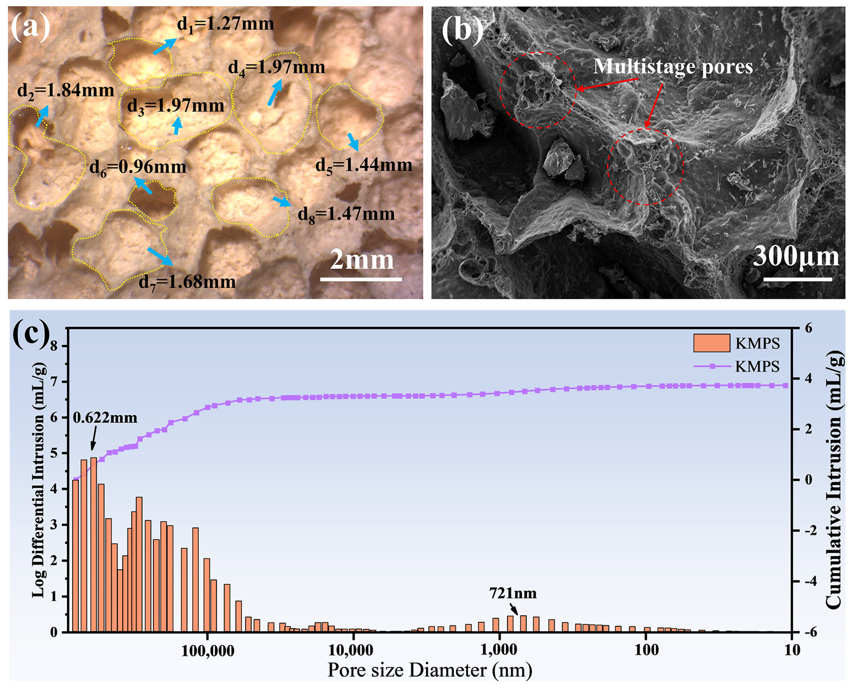 Sustainability 16 11035 g003