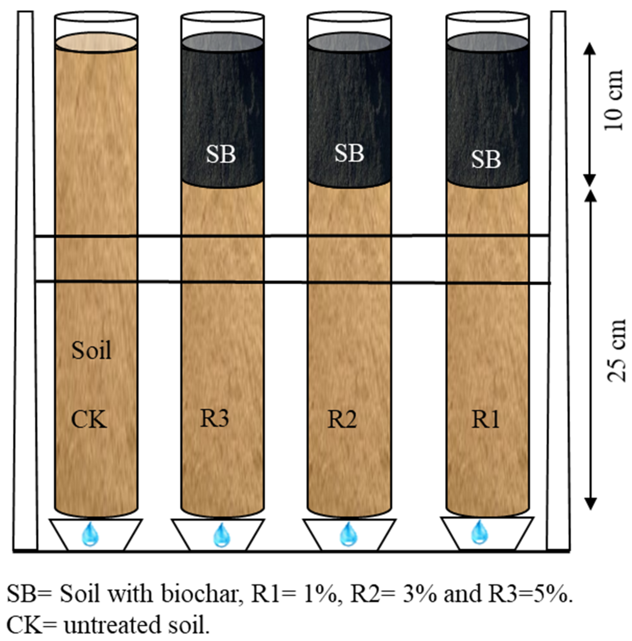 Sustainability 16 11081 g001