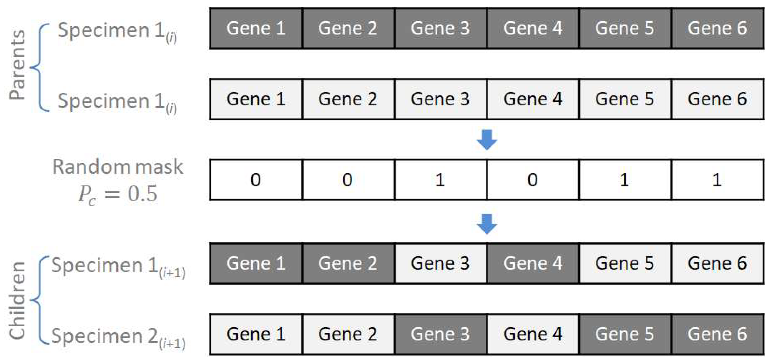 Sustainability 16 11093 g005