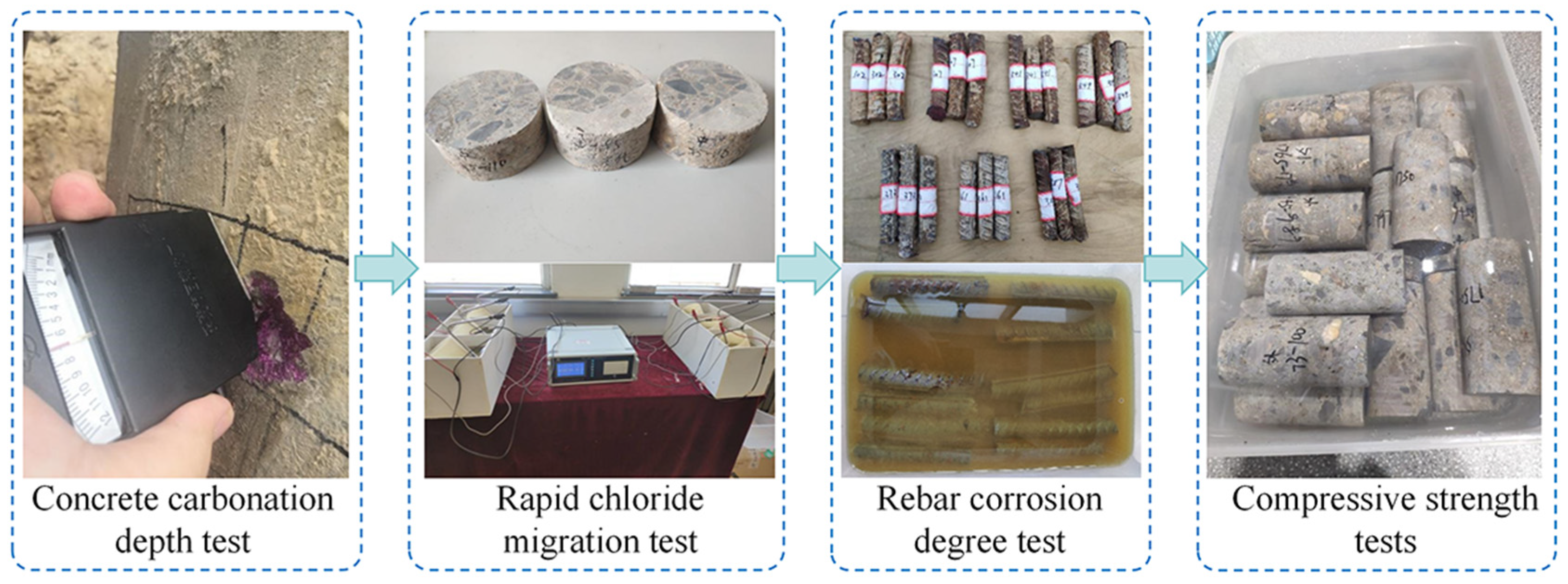 Sustainability 16 11096 g002