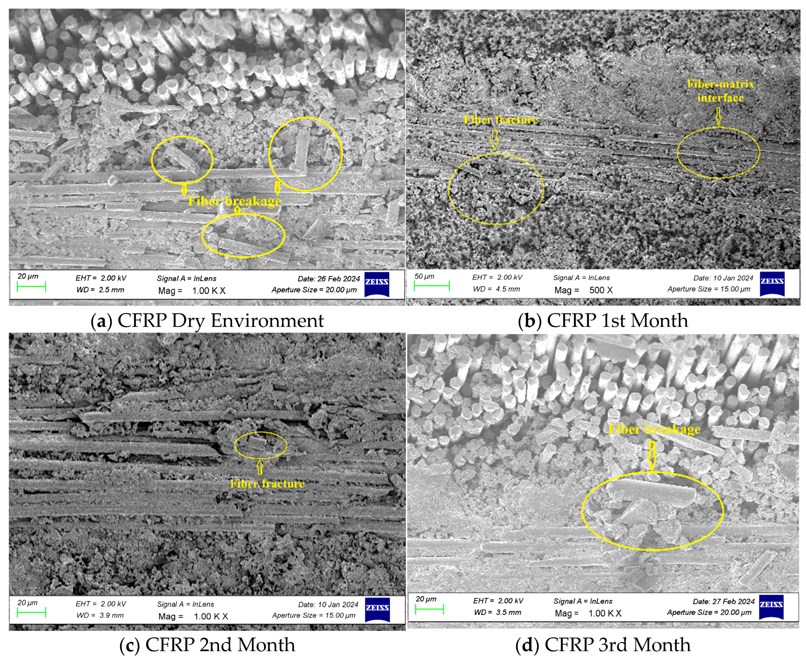 Sustainability 16 11105 g011