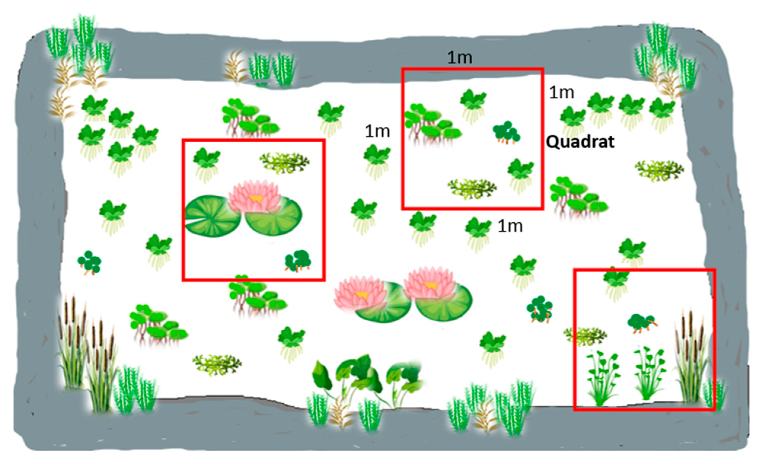 Sustainability 16 11113 g002 Sustainability 16 11113 g002