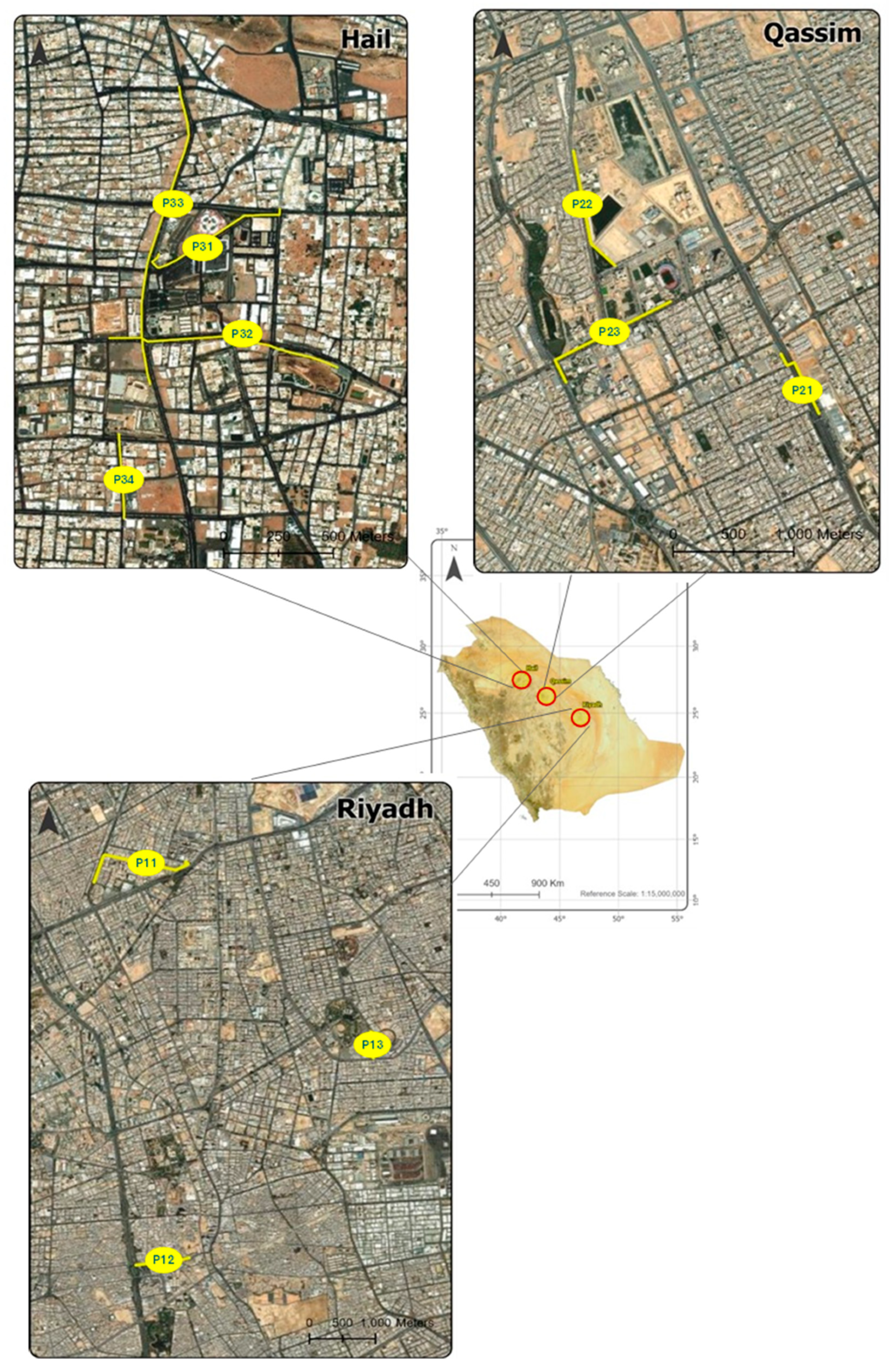Sustainability 16 11116 g002
