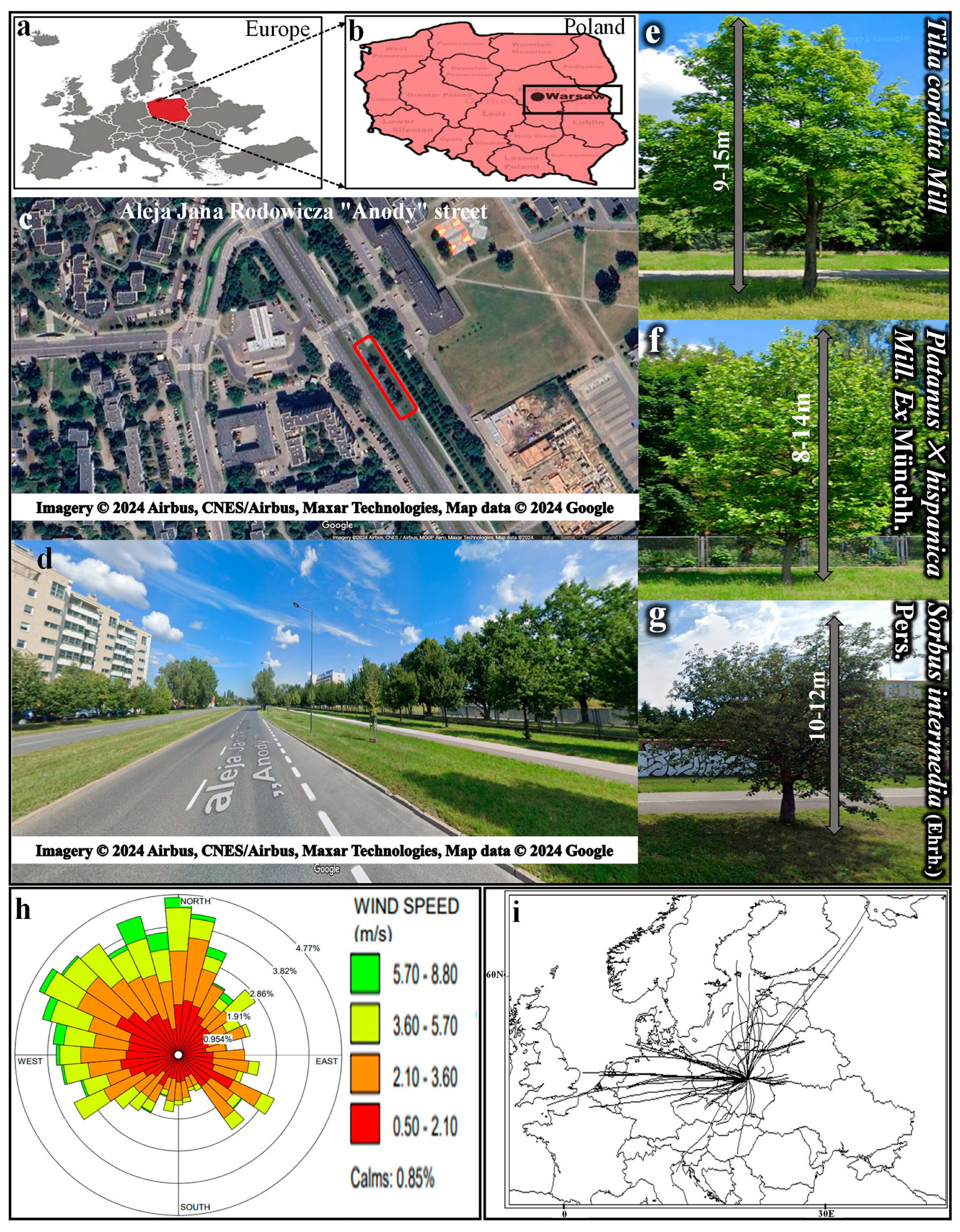 Sustainability 16 11131 g001