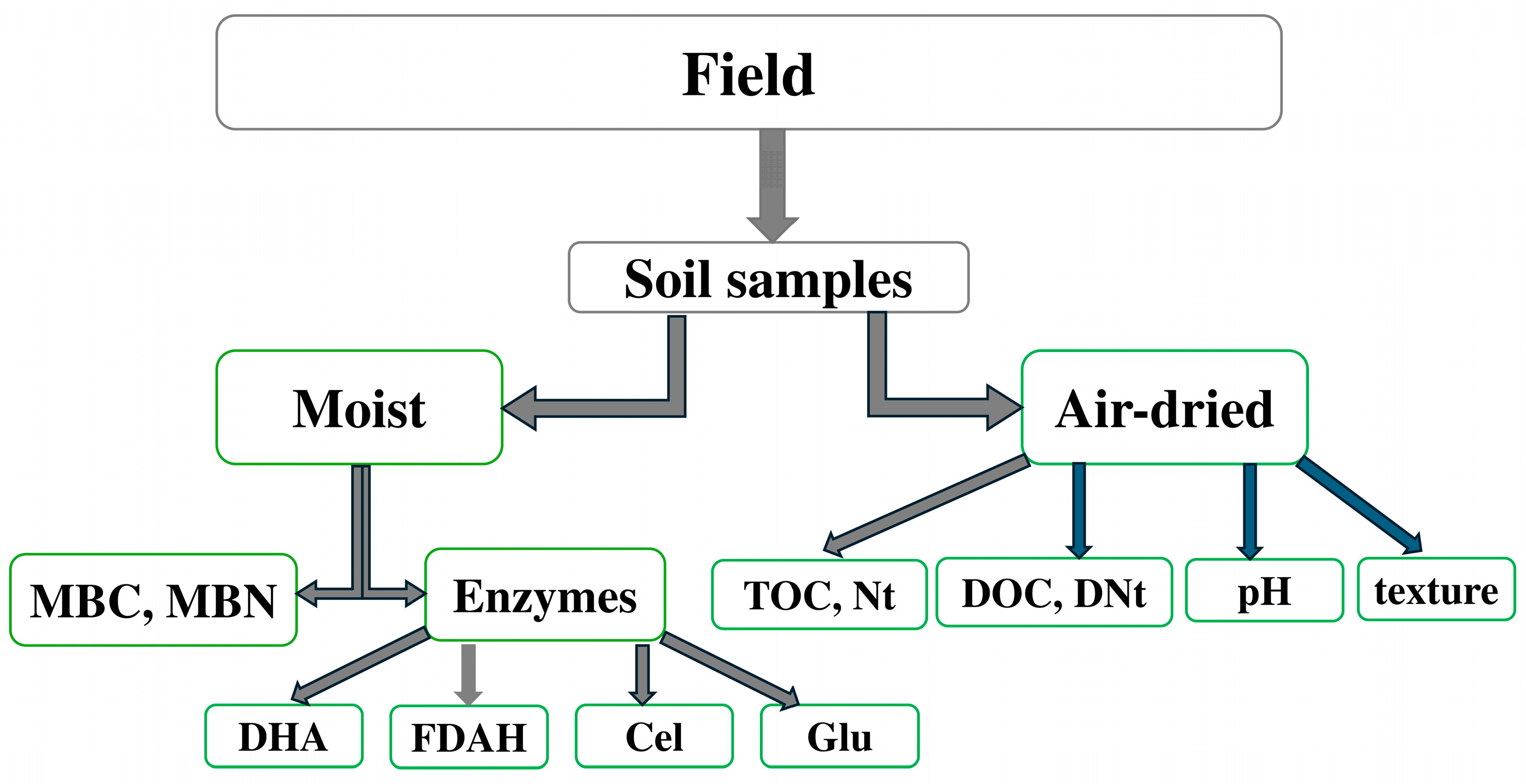 Sustainability 16 11140 g002
