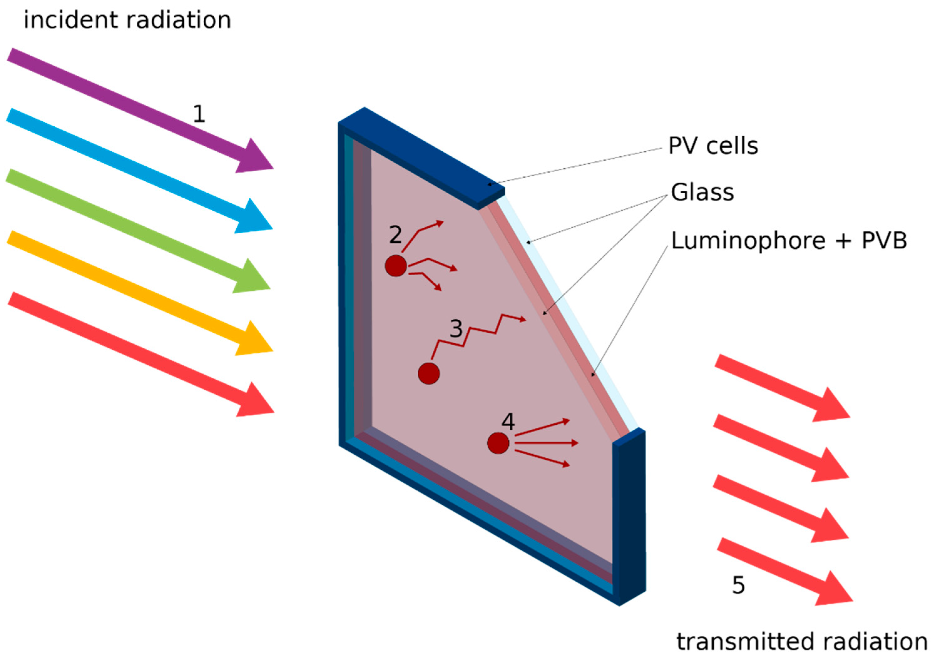 Sustainability 16 11148 g001
