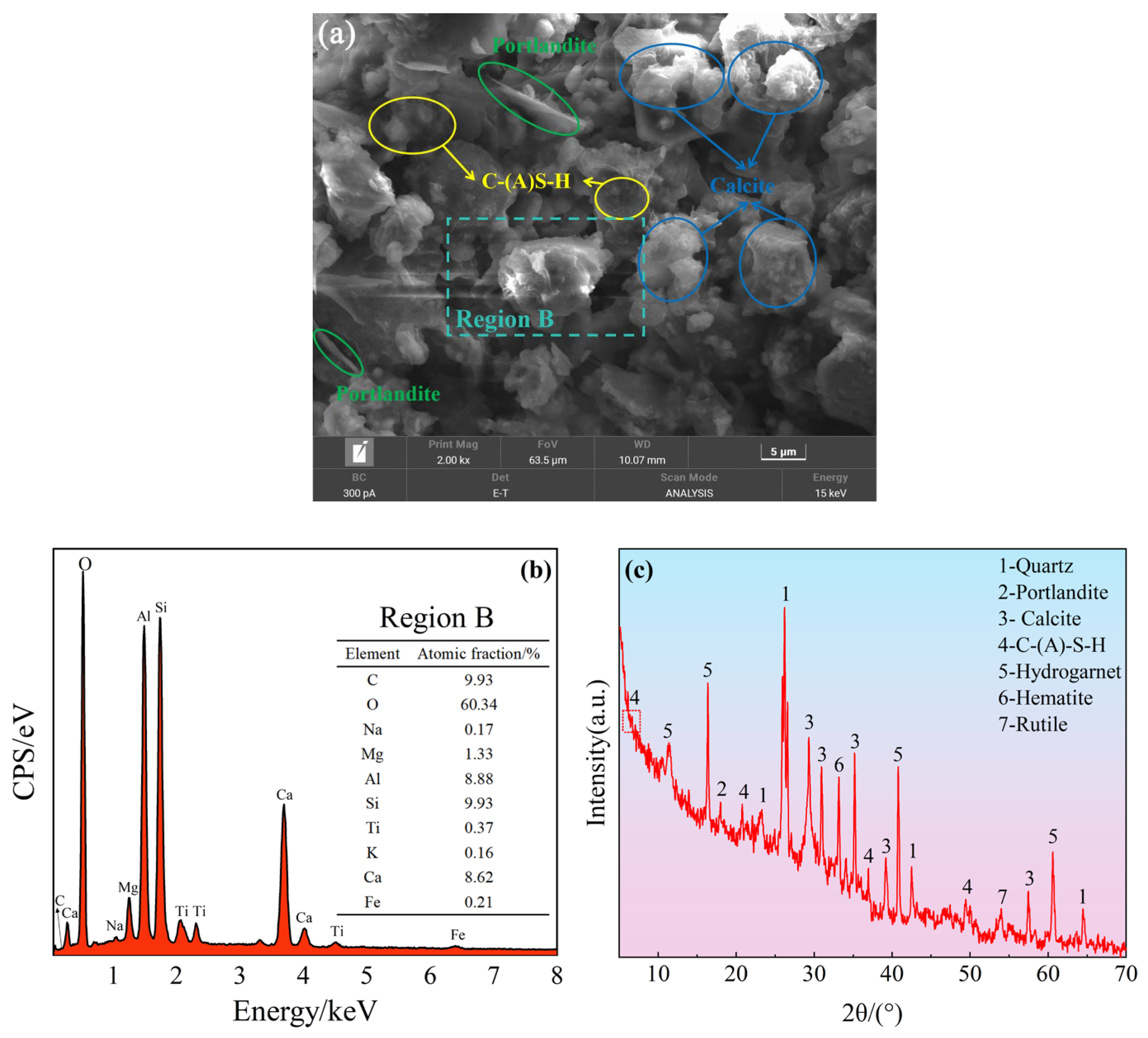 Sustainability 16 11168 g012