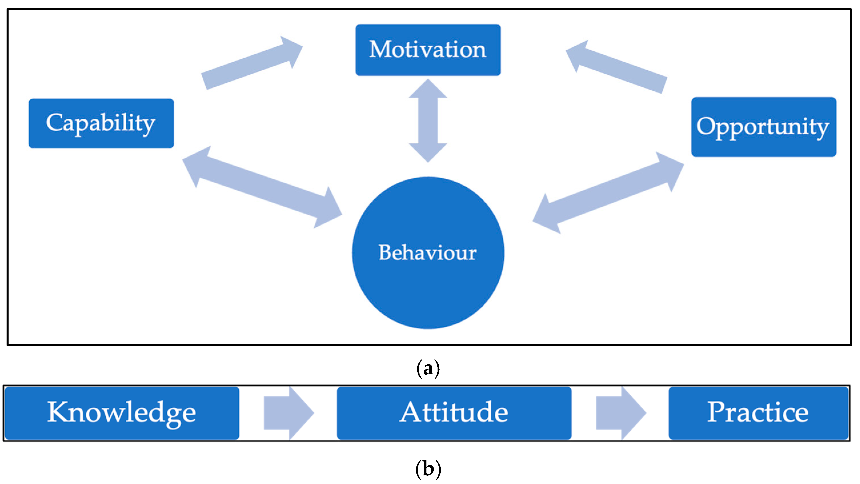 Sustainability 16 11186 g001