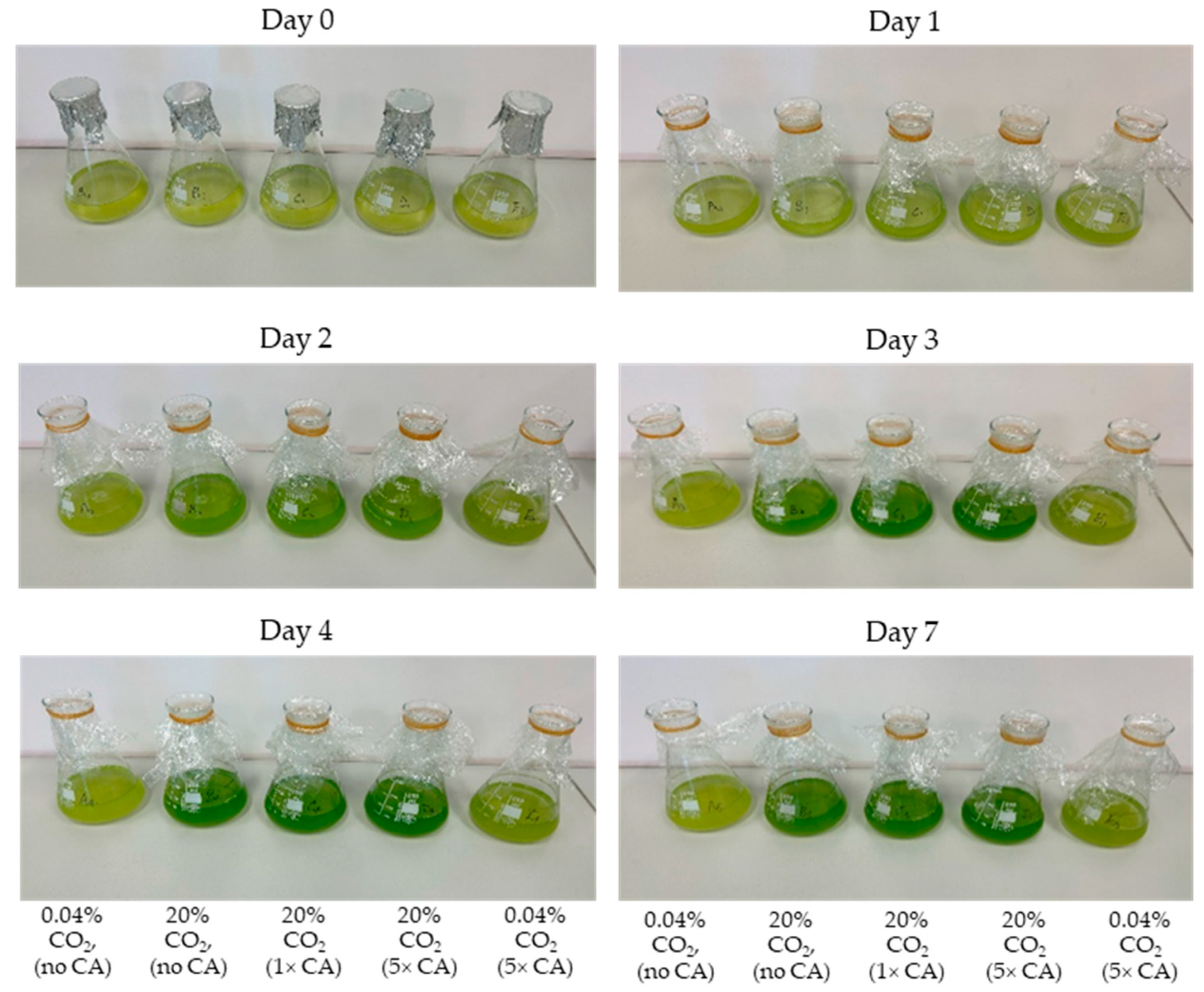 Sustainability 16 11196 g008