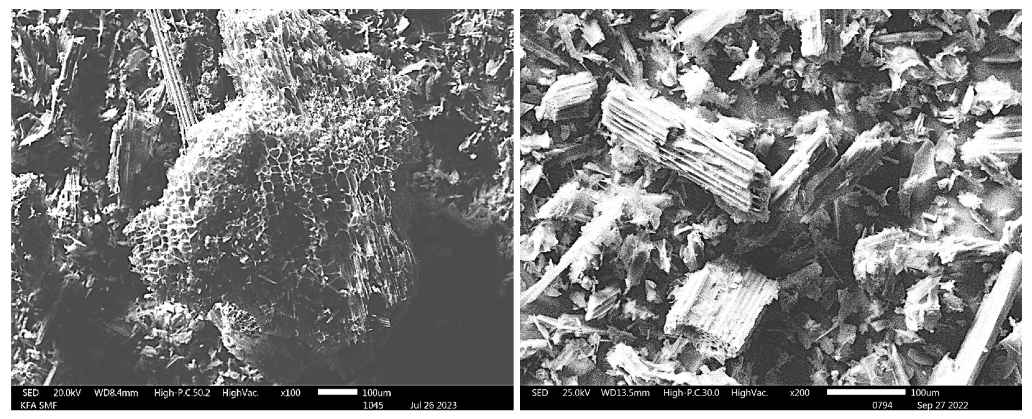 Sustainability 16 11219 g003