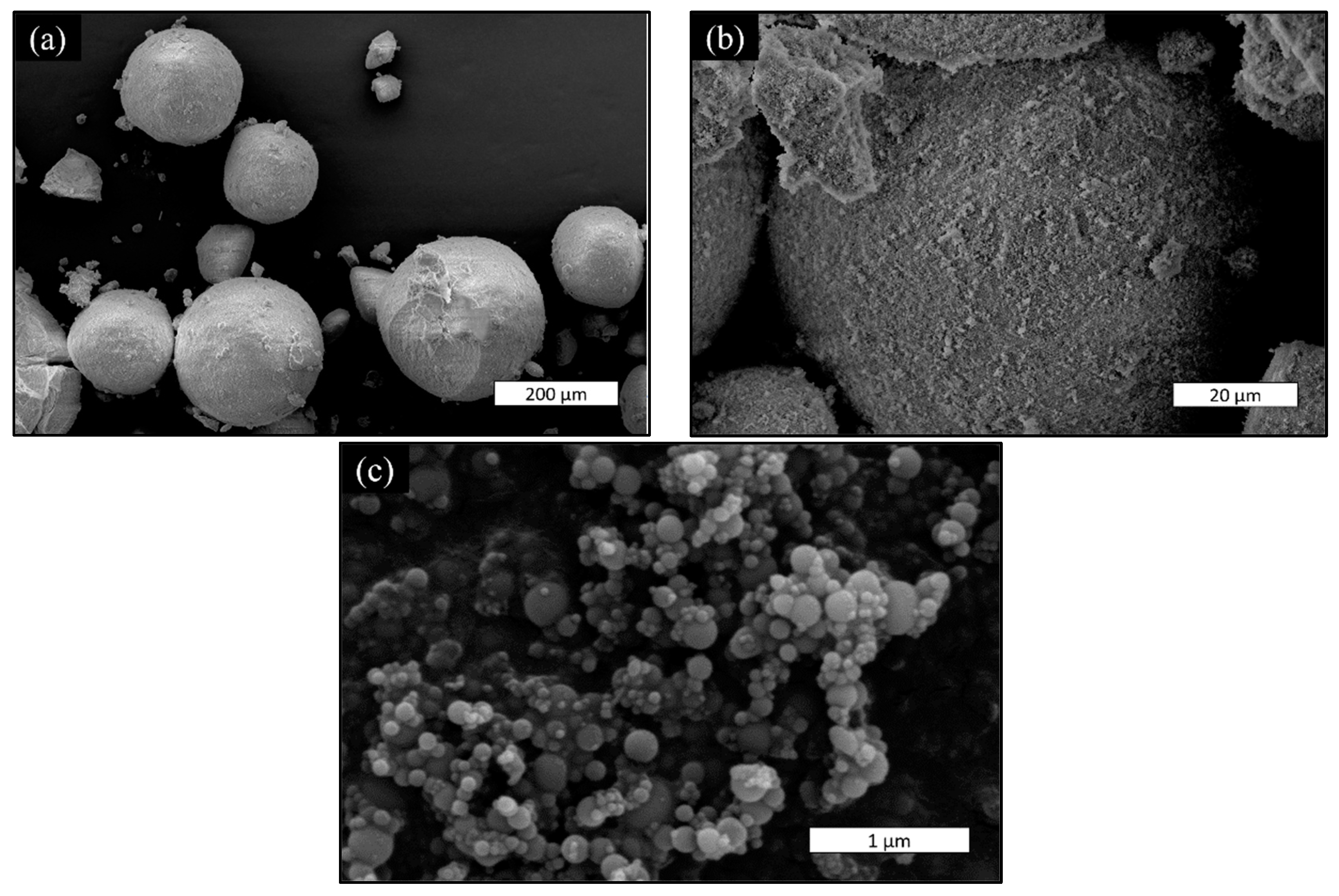 Sustainability 16 11226 g006