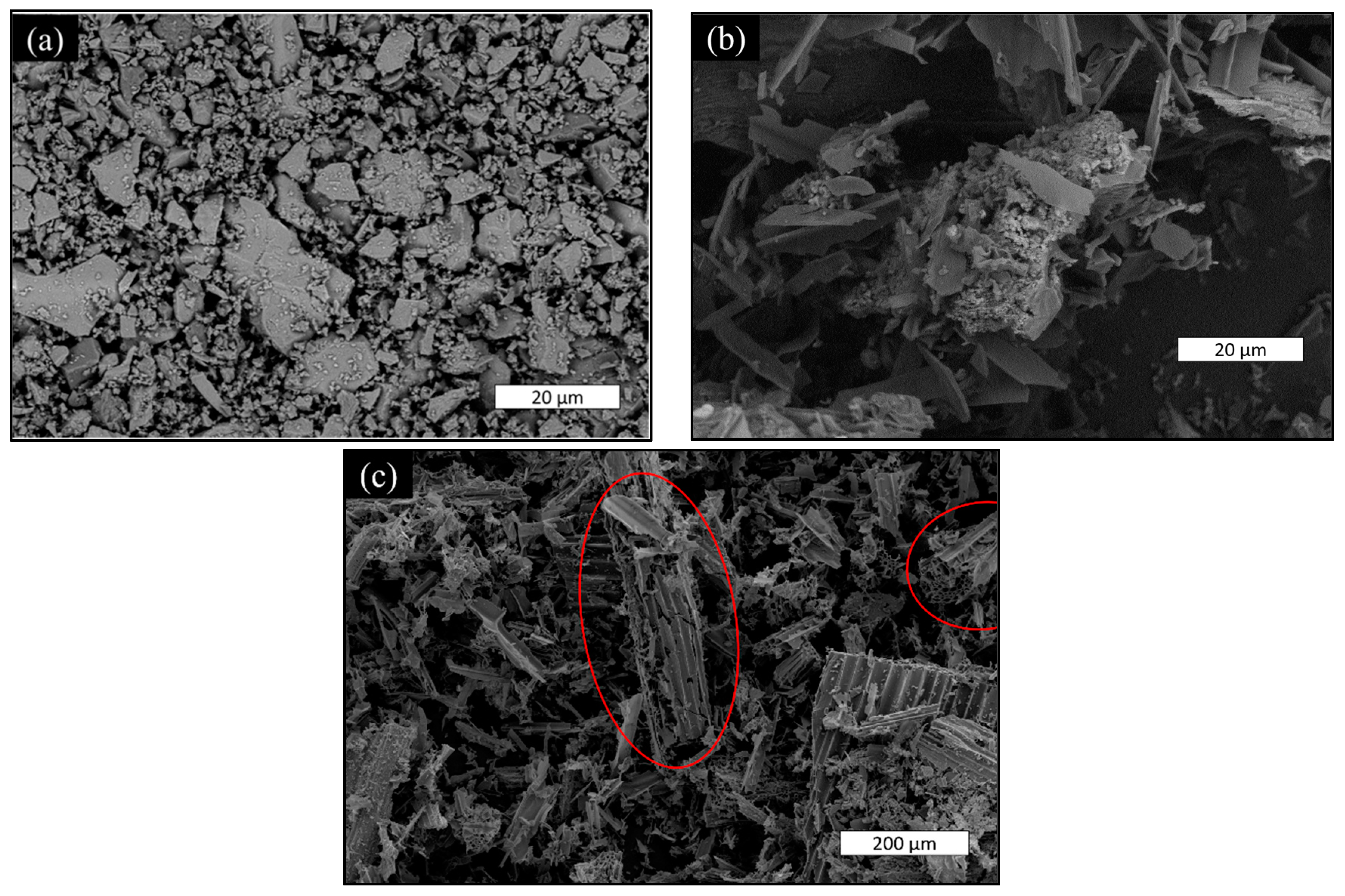 Sustainability 16 11226 g007