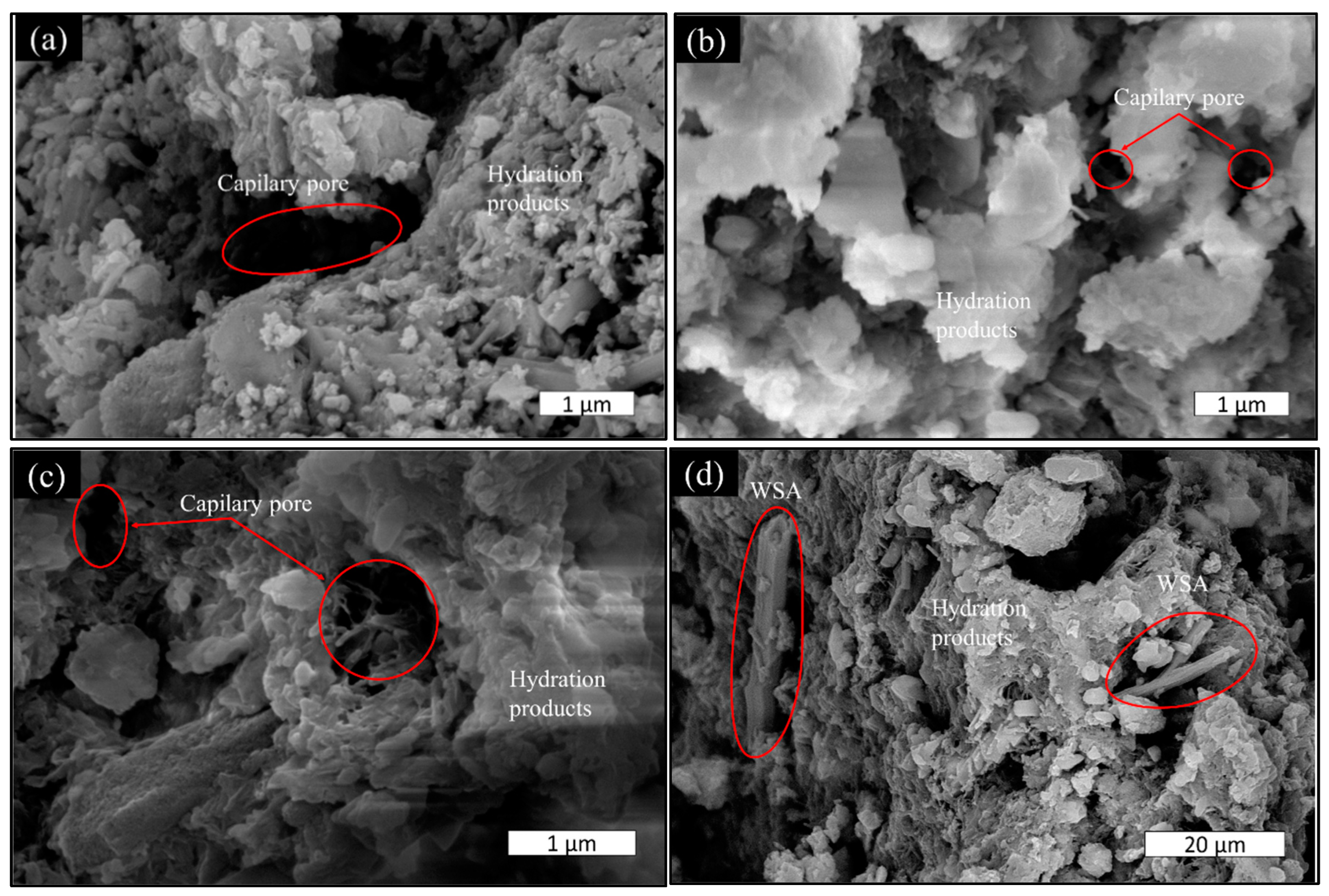 Sustainability 16 11226 g011