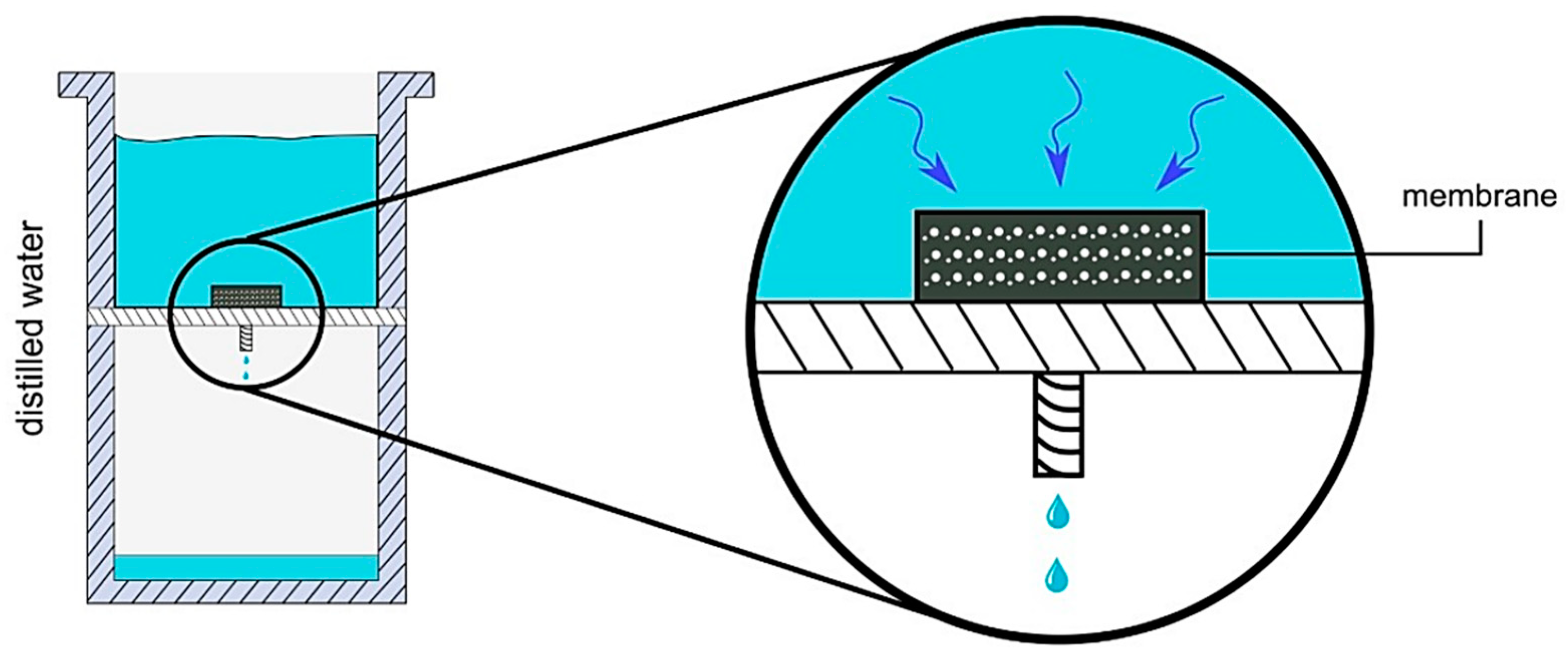 Sustainability 16 11227 g001