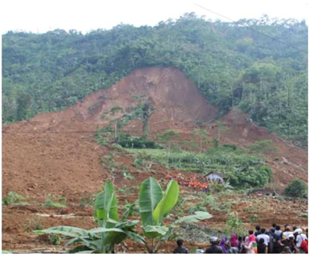 Sustainability 16 11273 i005