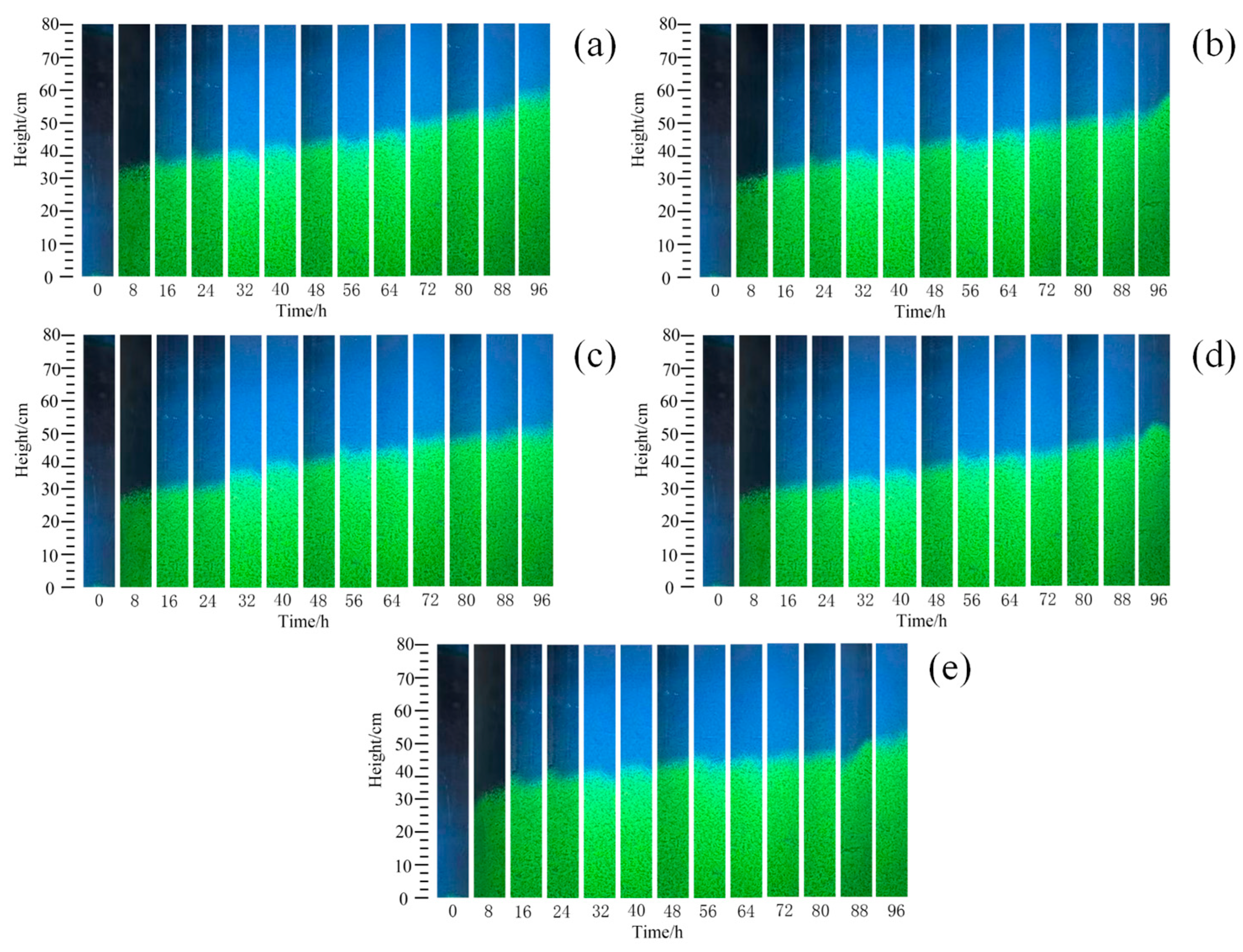 Sustainability 16 11280 g009