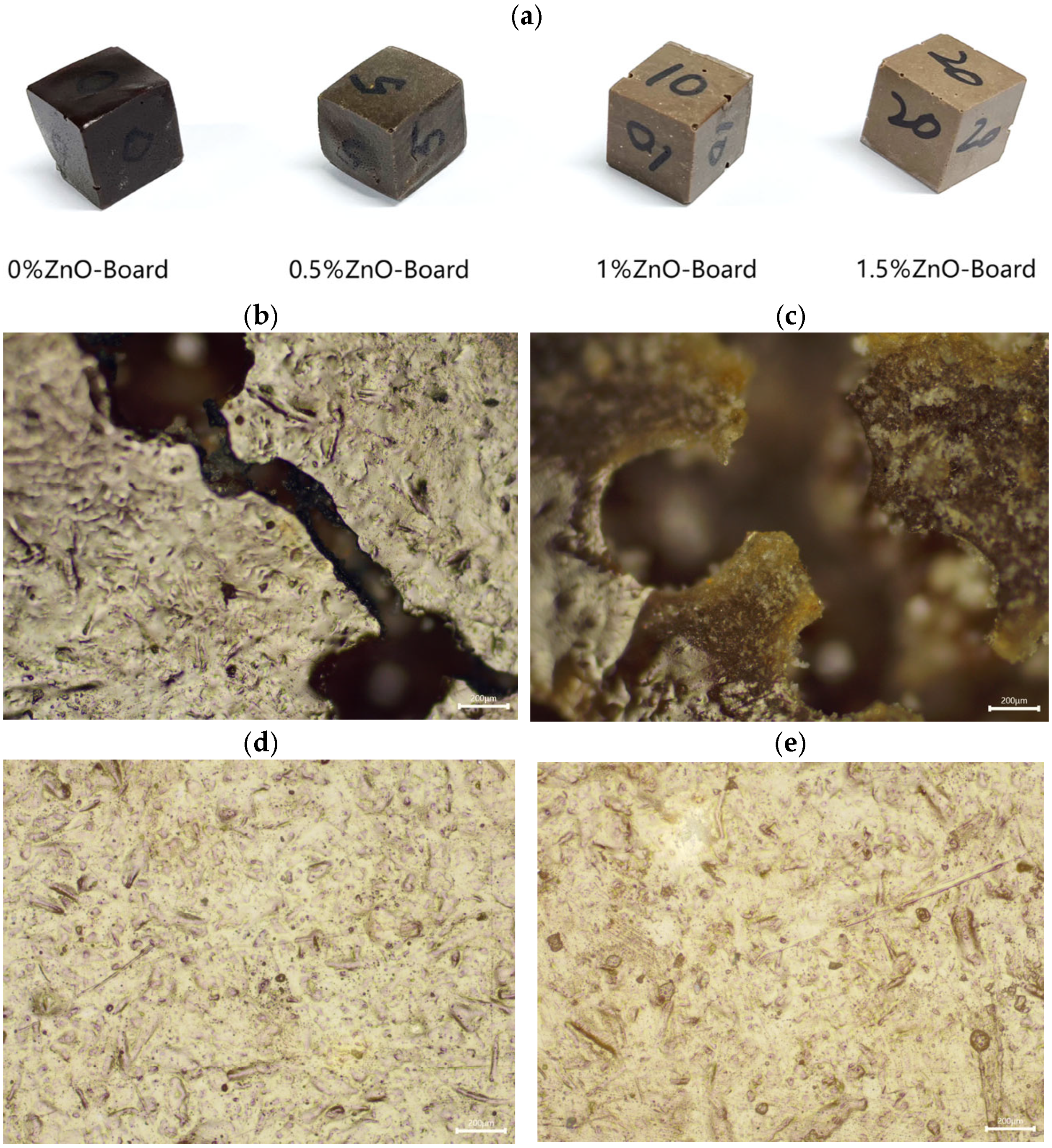 Sustainability 16 11282 g007 Sustainability 16 11282 g007