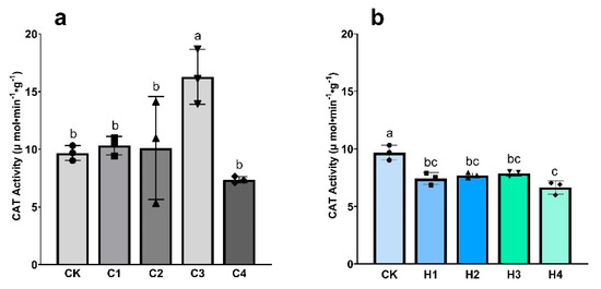 Effects of Biochar Extract and Mineral Potassium Fulvic Acid