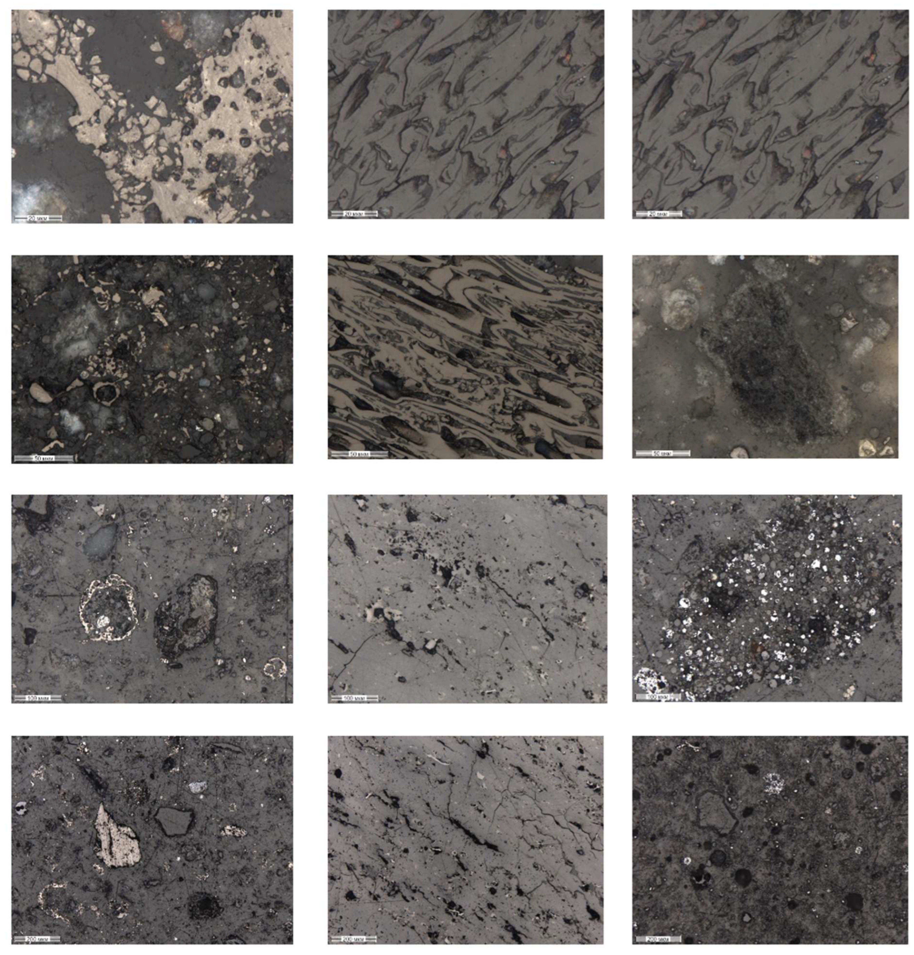 Sustainability 17 00073 g007