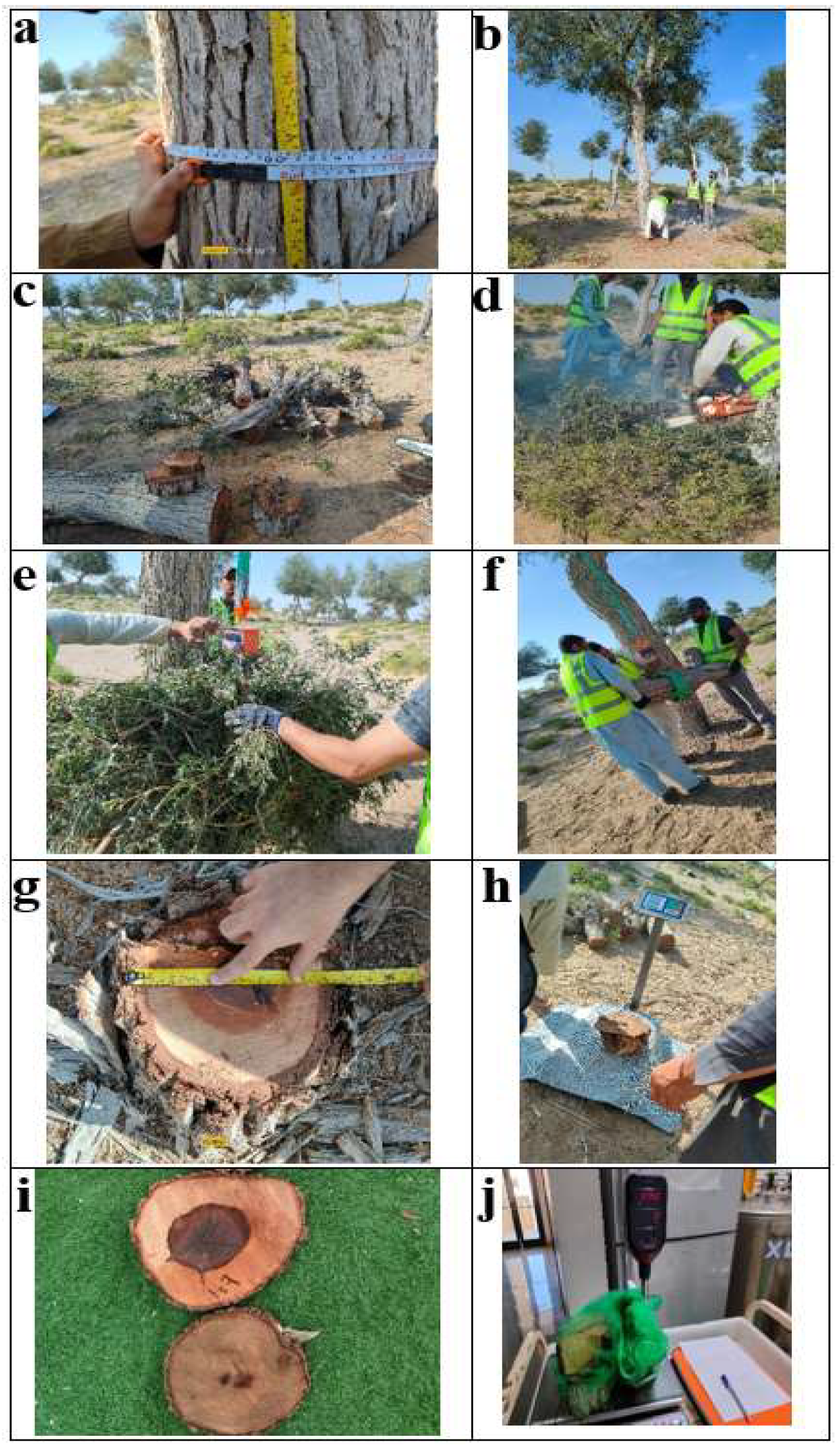 Sustainability 17 00123 g003