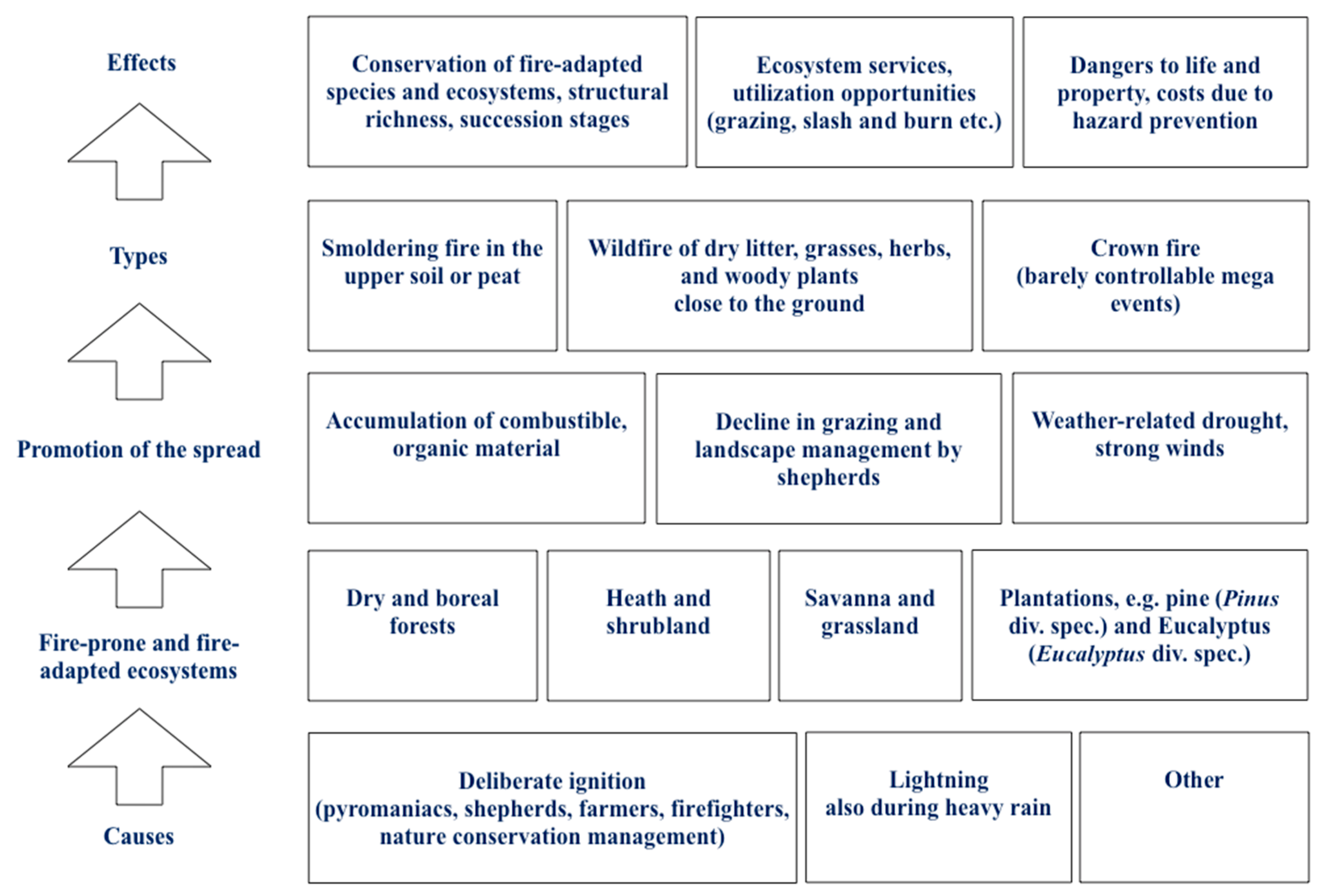 Sustainability 17 00134 g005