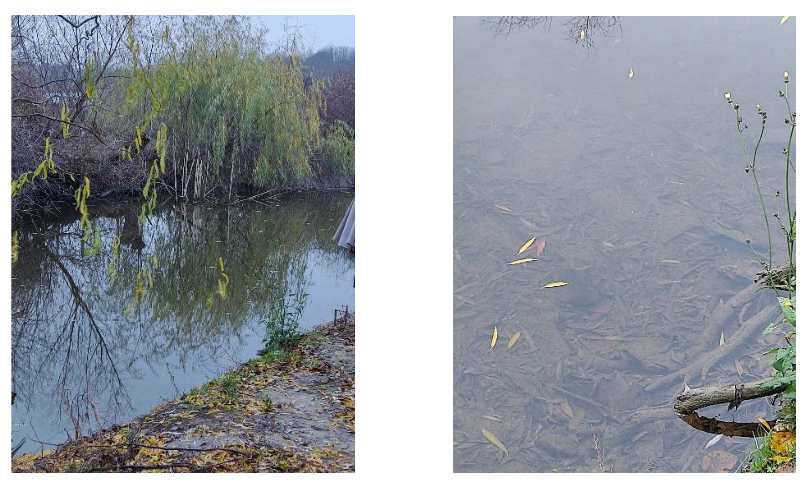 Sustainability 17 00141 g003