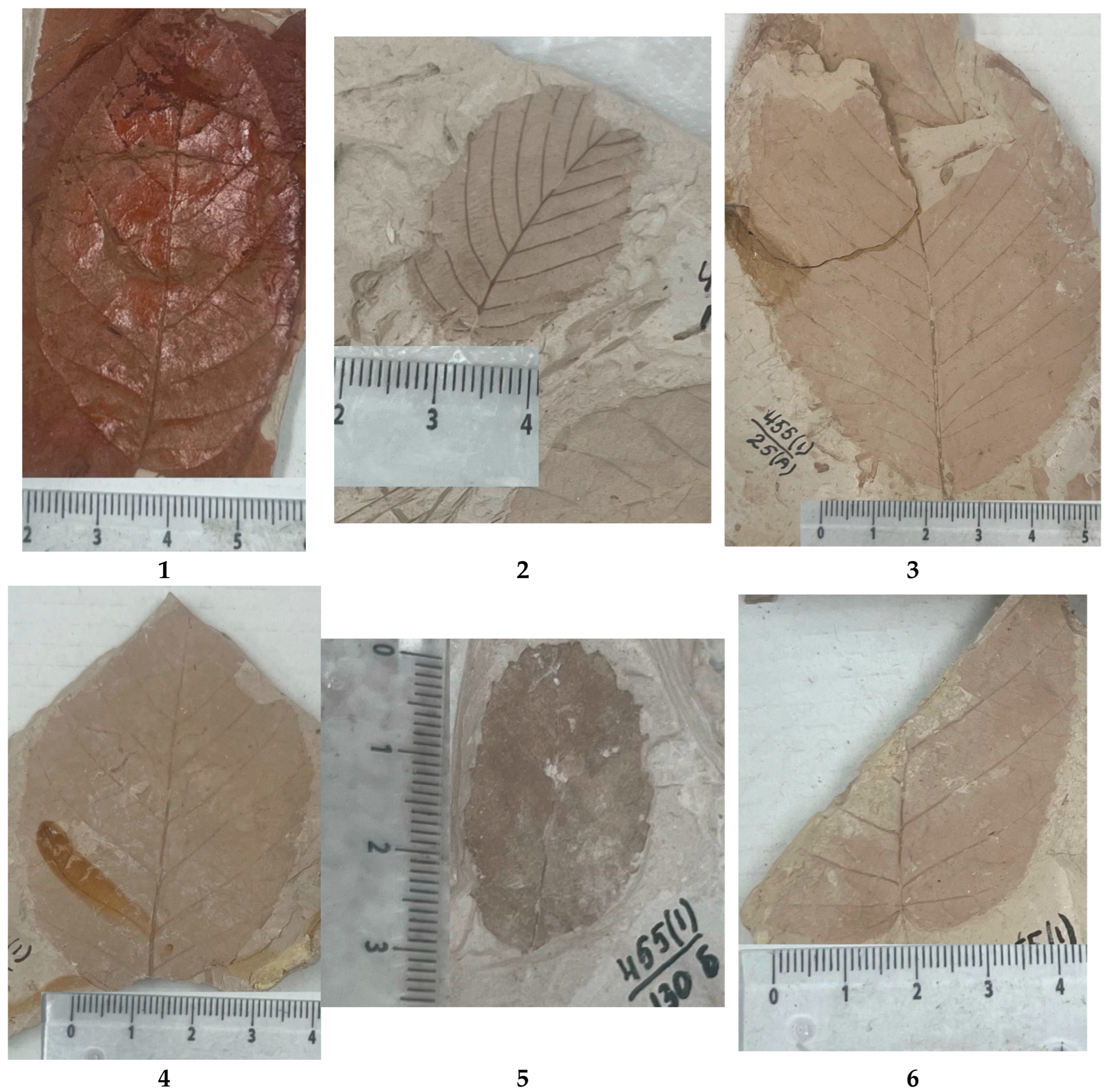 Sustainability 17 00143 g002