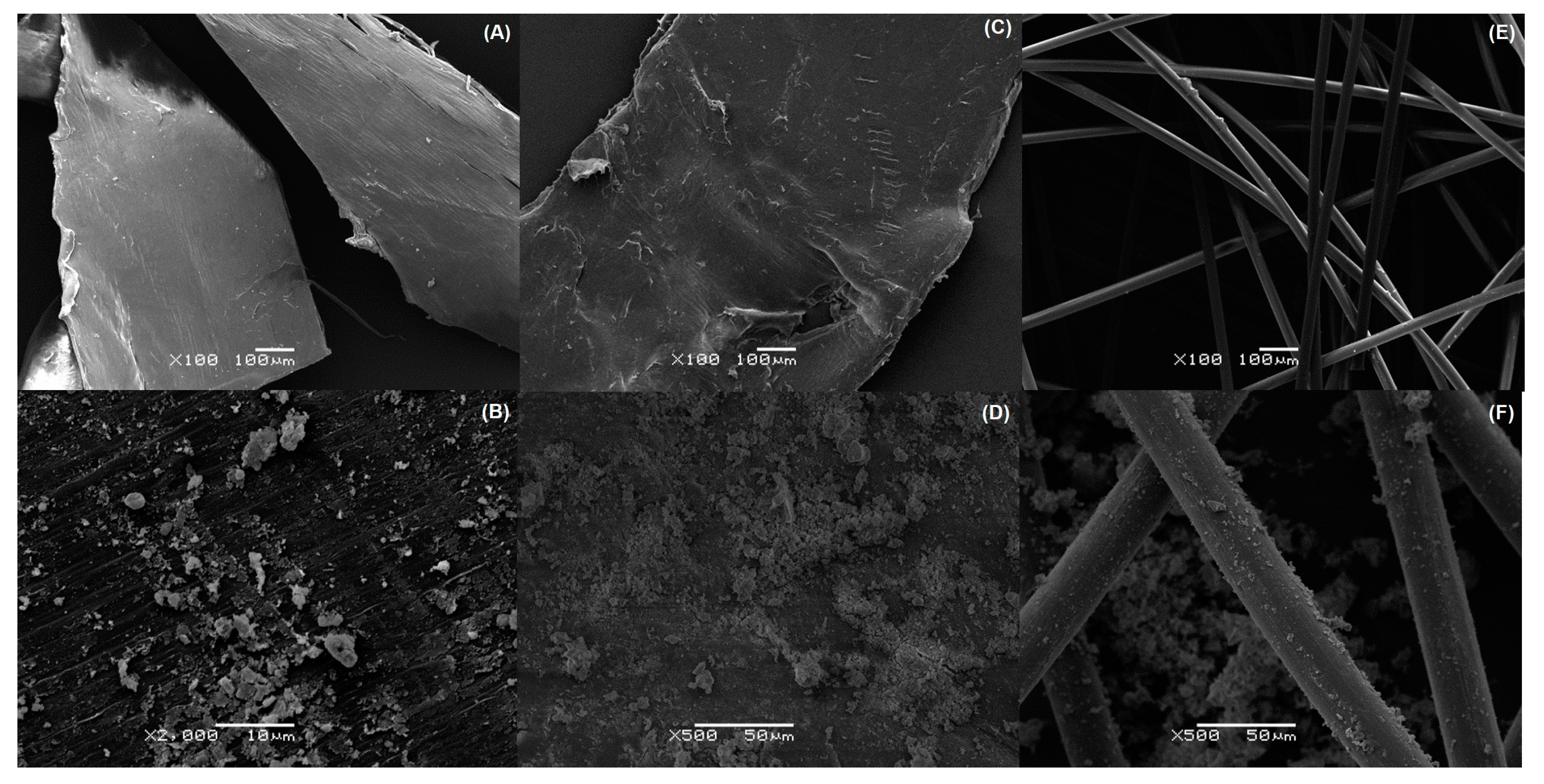 Sustainability 17 00149 g003