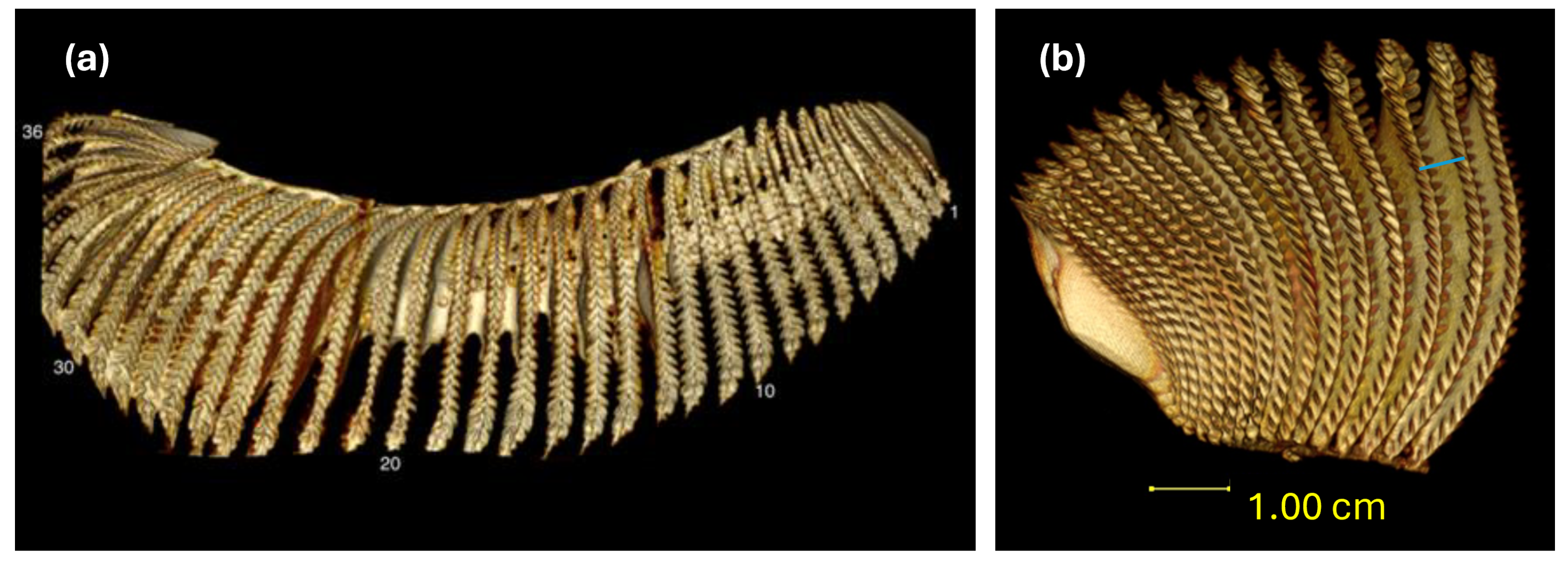 Sustainability 17 00170 g002