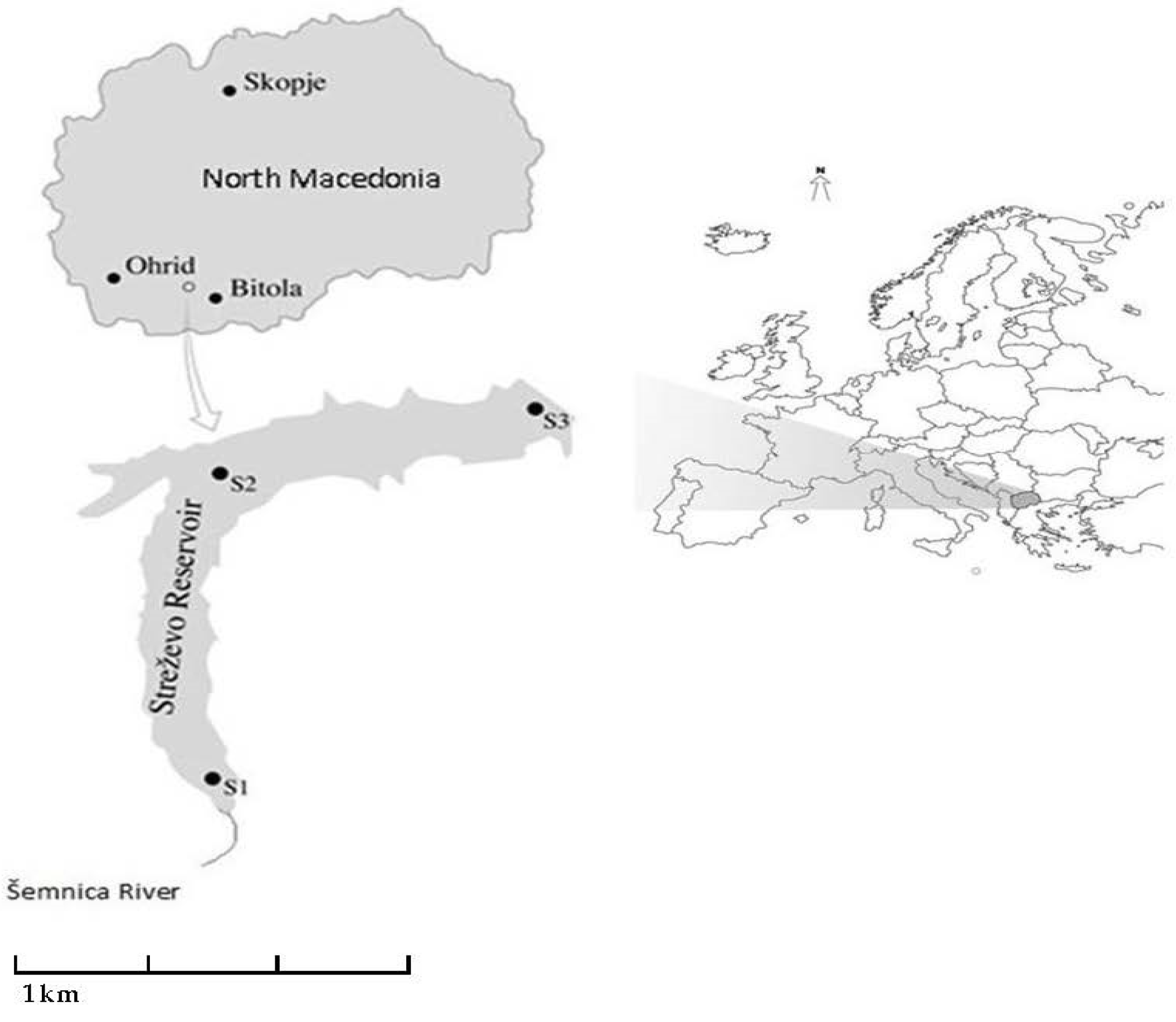 Sustainability 17 00171 g001