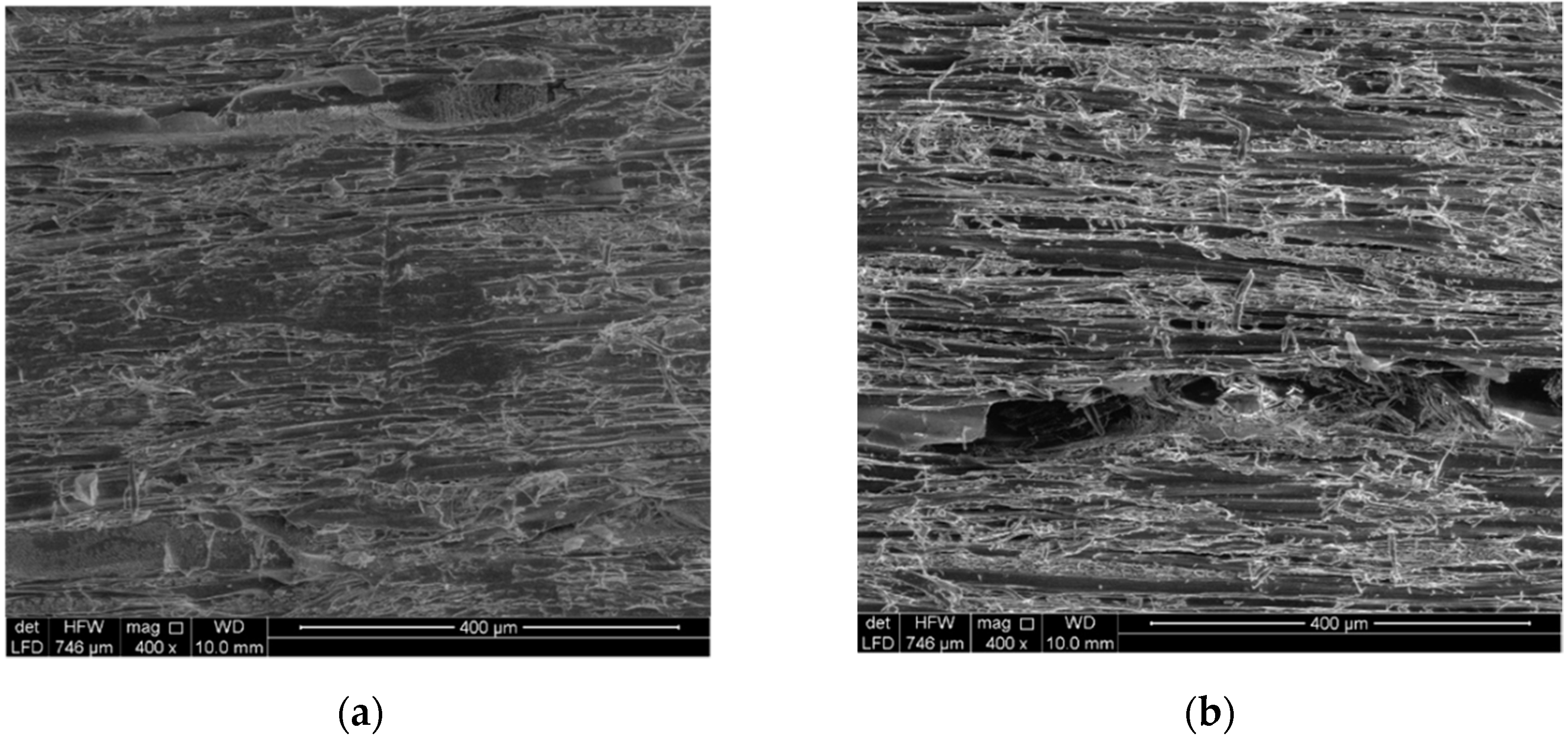 Sustainability 17 00178 g002