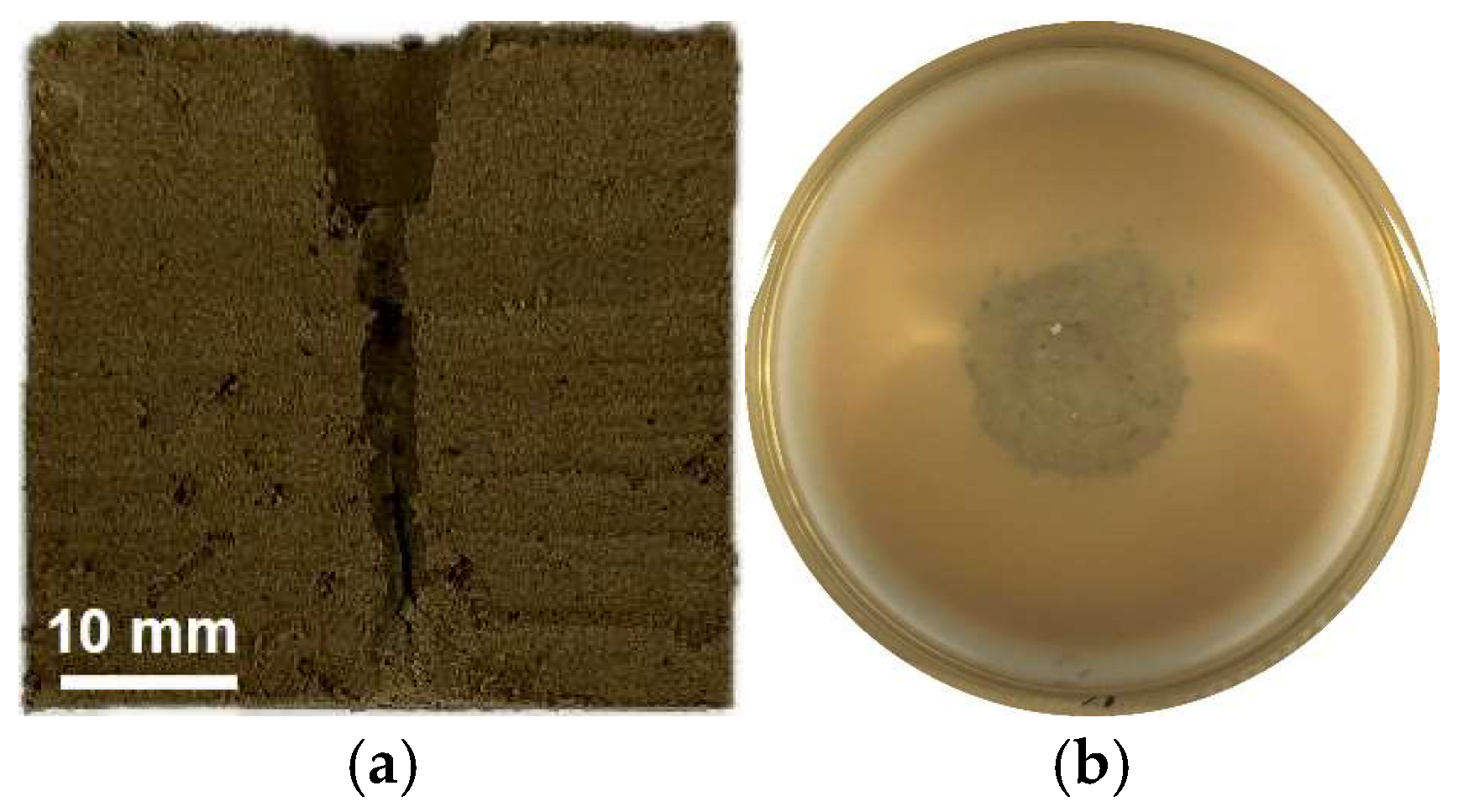 Sustainability 17 00182 g001 Sustainability 17 00182 g001
