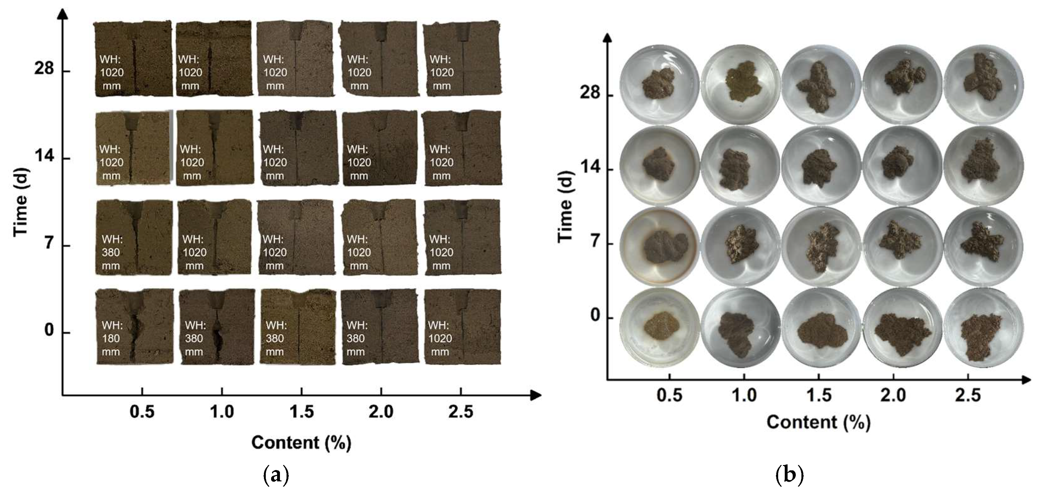 Sustainability 17 00182 g006 Sustainability 17 00182 g006