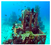 Sustainability 17 00184 i001