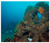 Sustainability 17 00184 i002