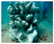 Sustainability 17 00184 i005