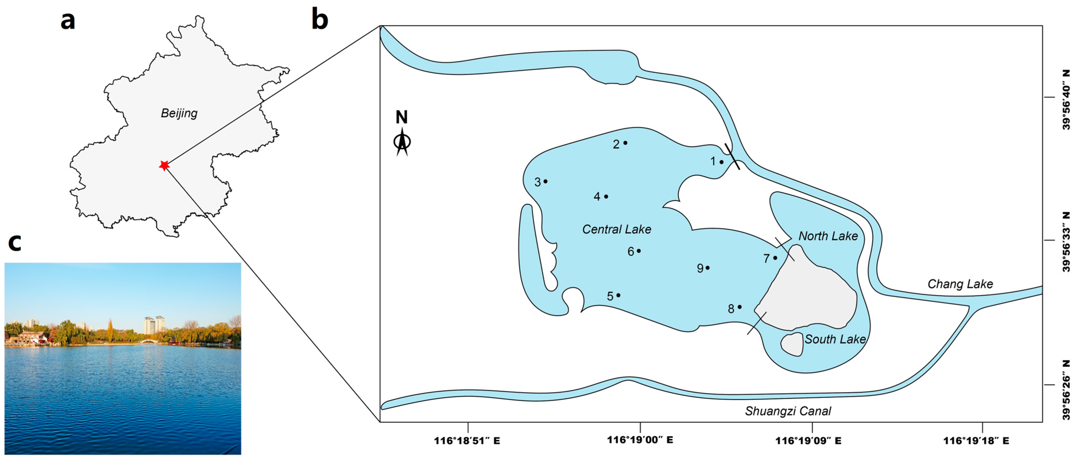 Sustainability 17 00186 g001