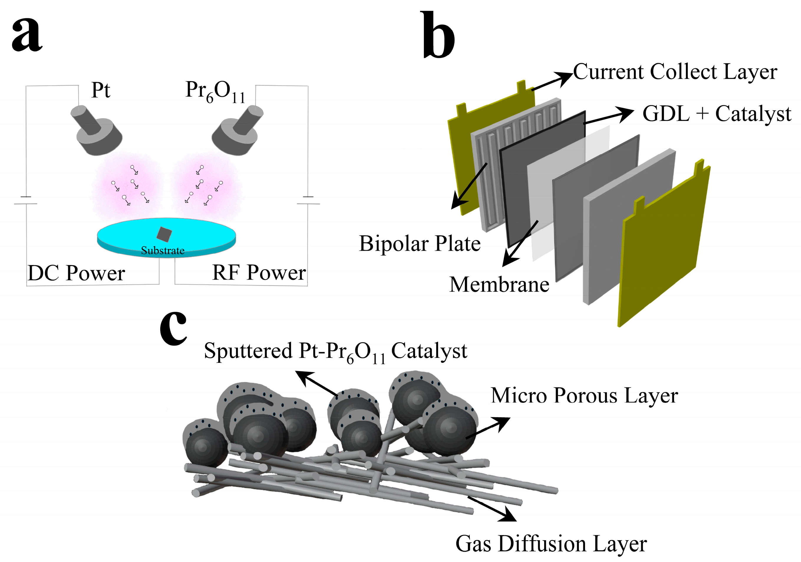 Sustainability 17 00198 g001