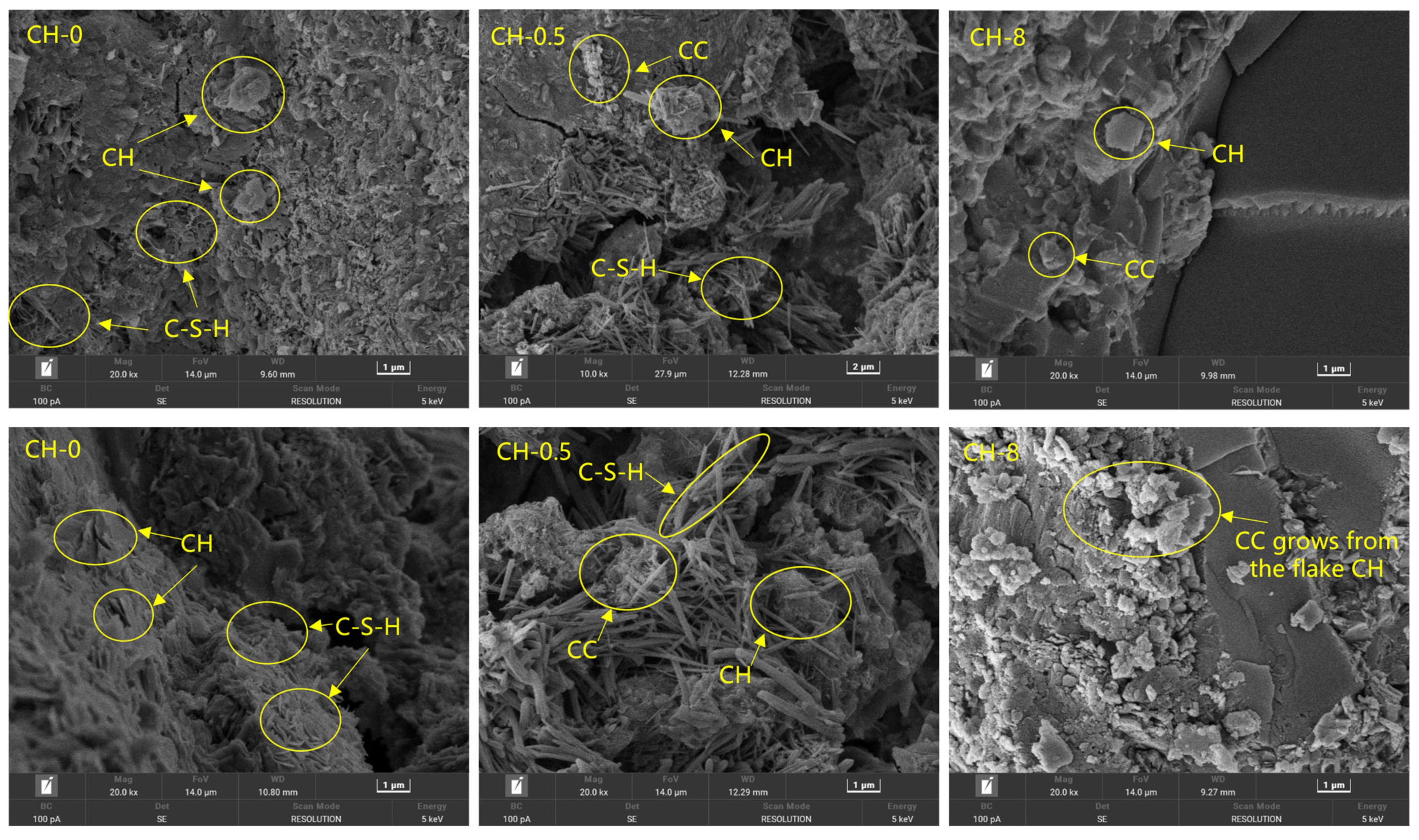 Sustainability 17 00243 g015